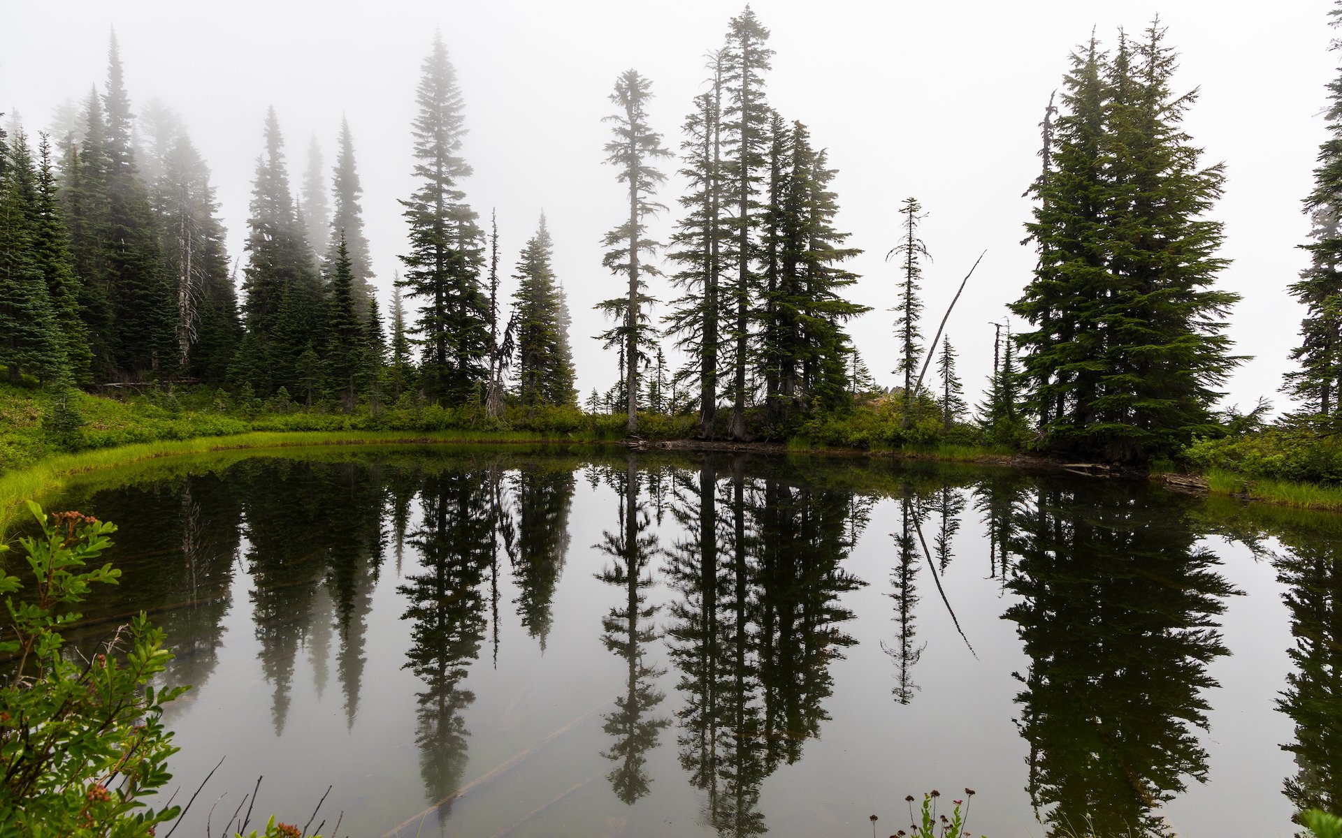  As we climbed to the height of this day’s hike, we got lost in the clouds. 