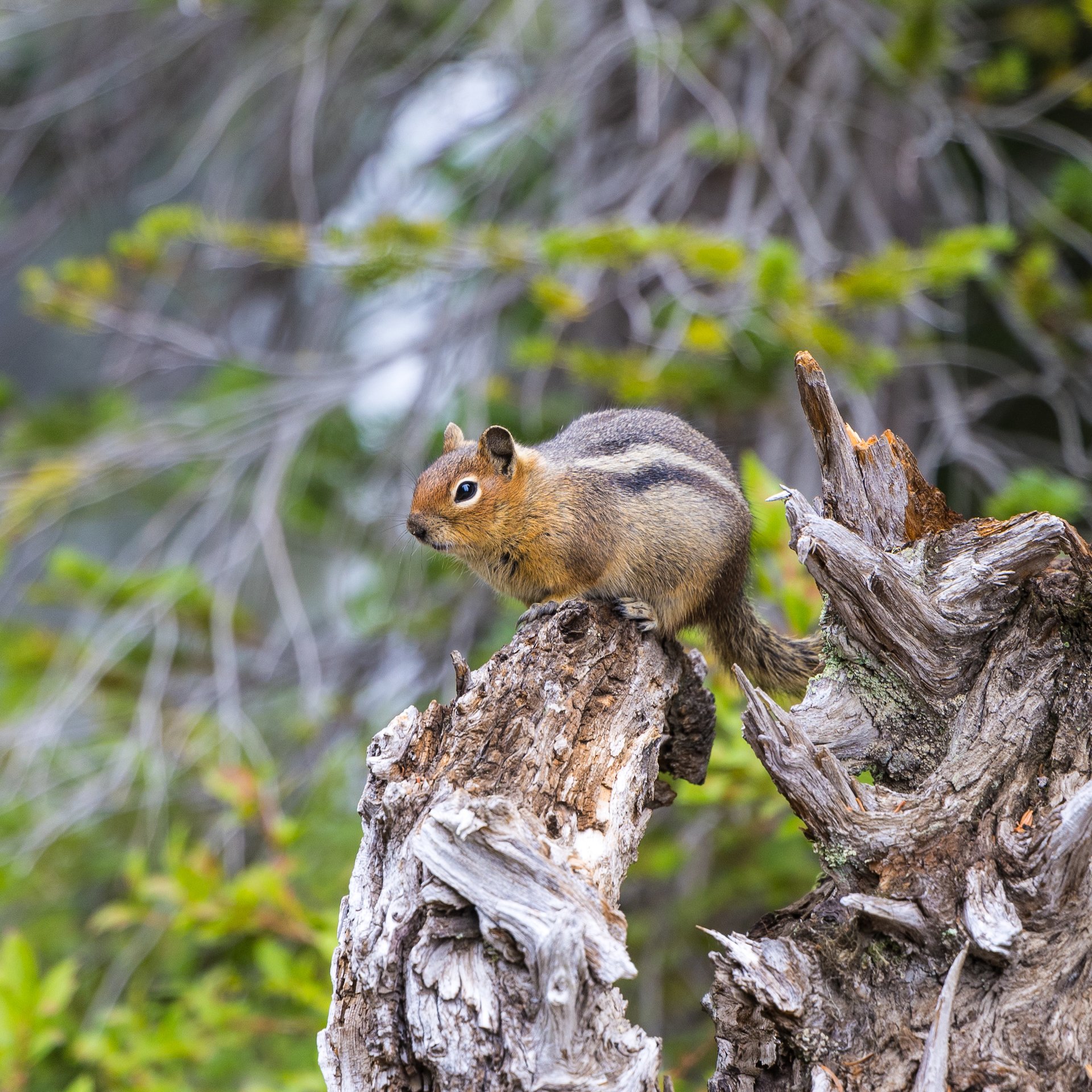  This little one was clearly not worried about us. 