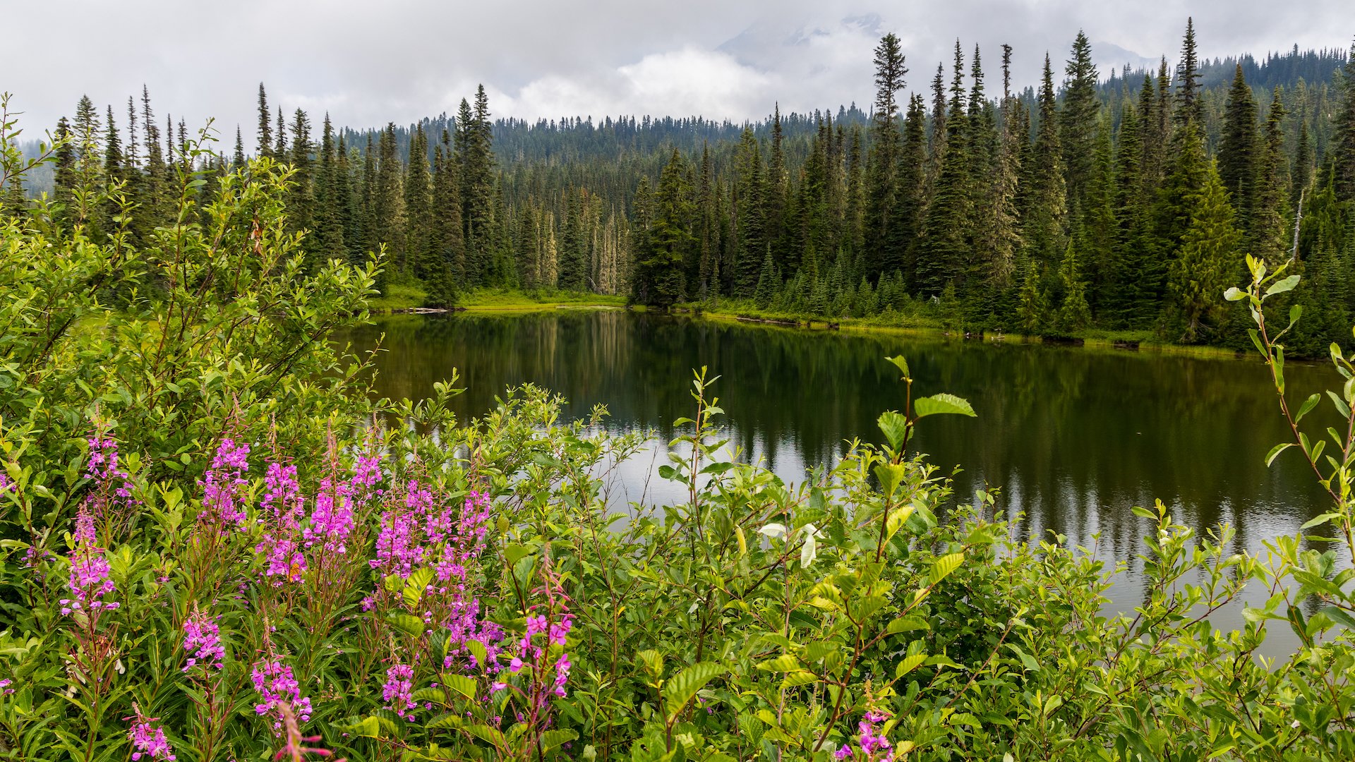  Looking out over the namesake lakes. 