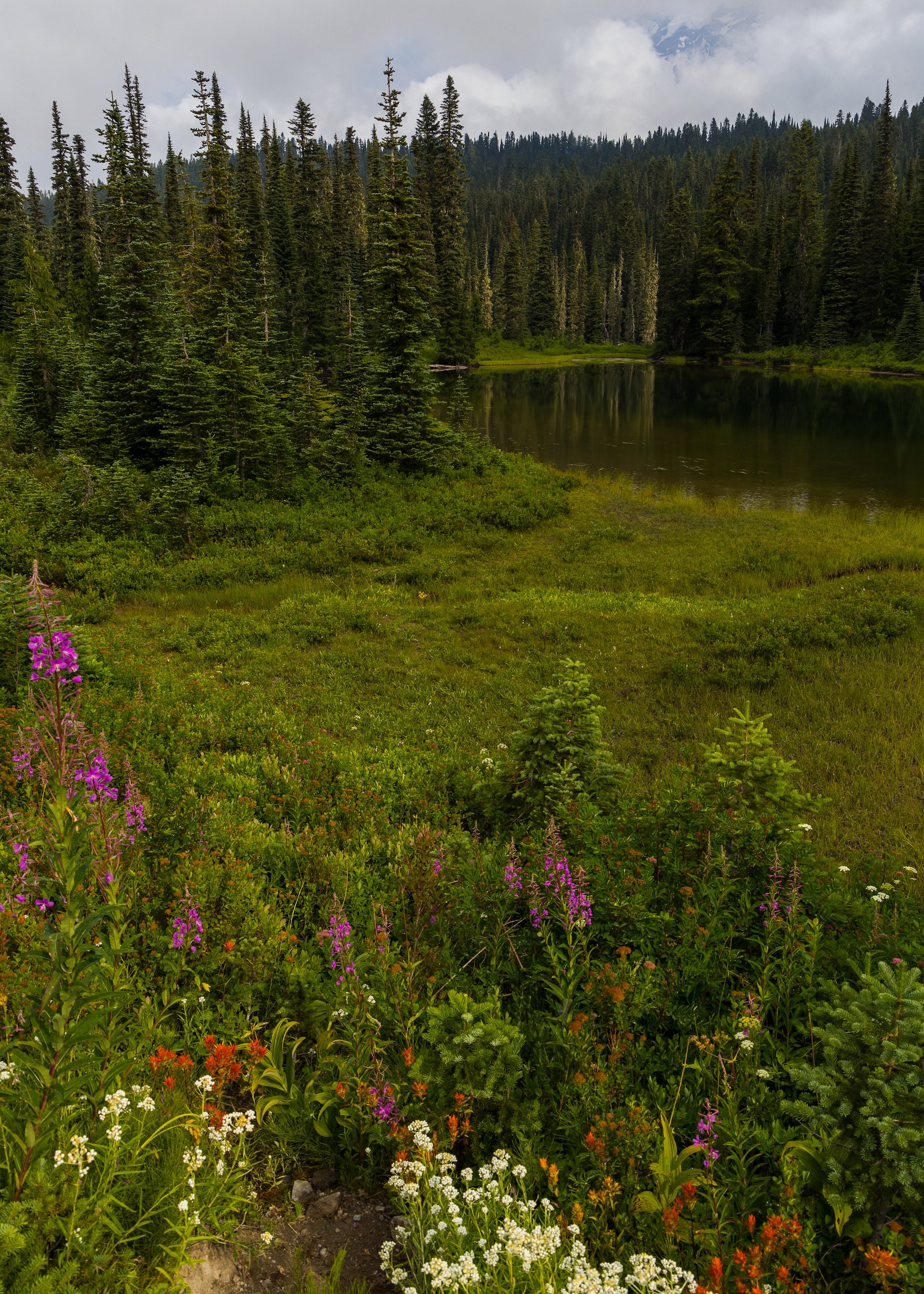 2023 08 Mount Rainier - 166.jpeg