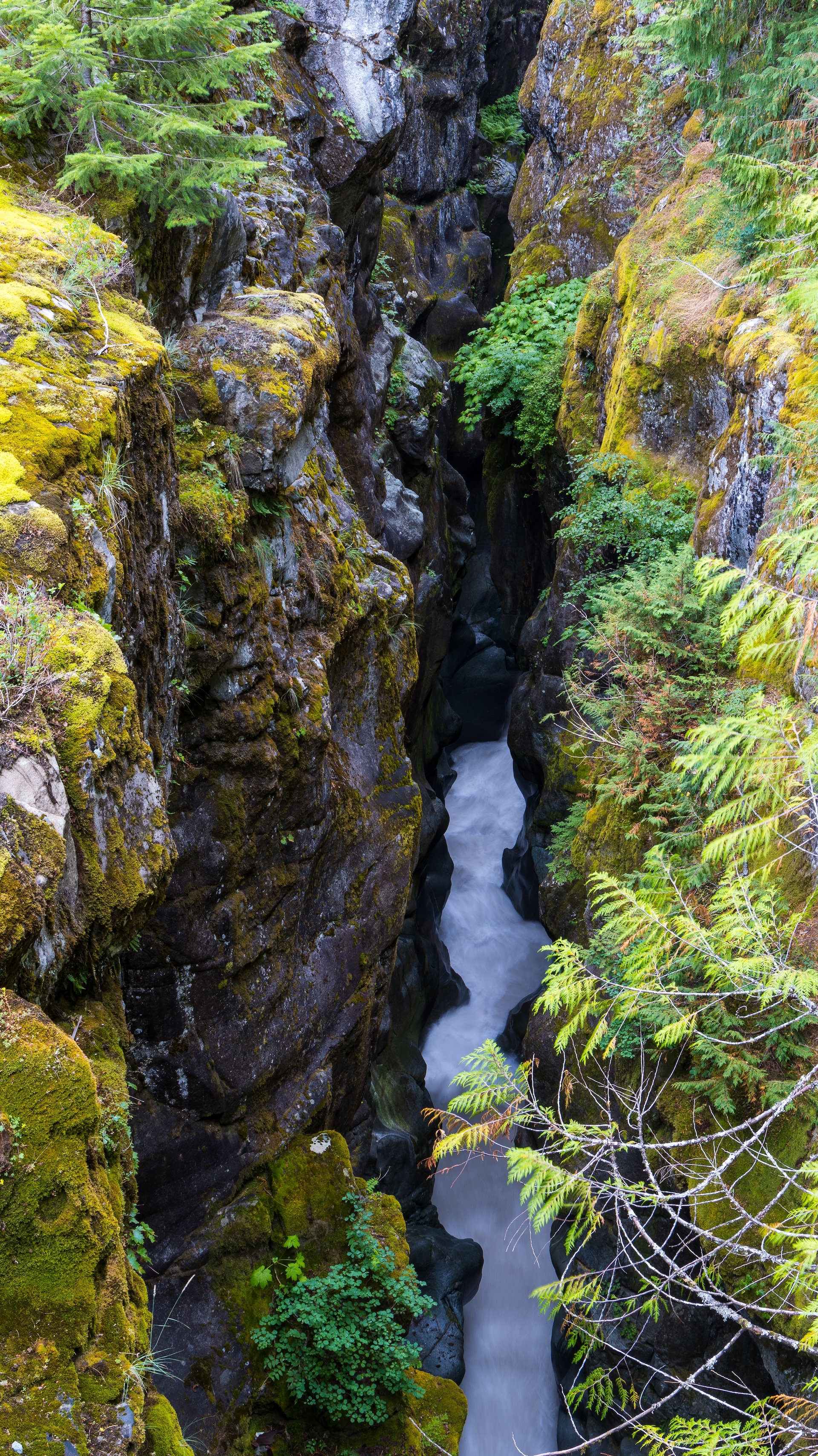  Looking down into the rushing waters. 