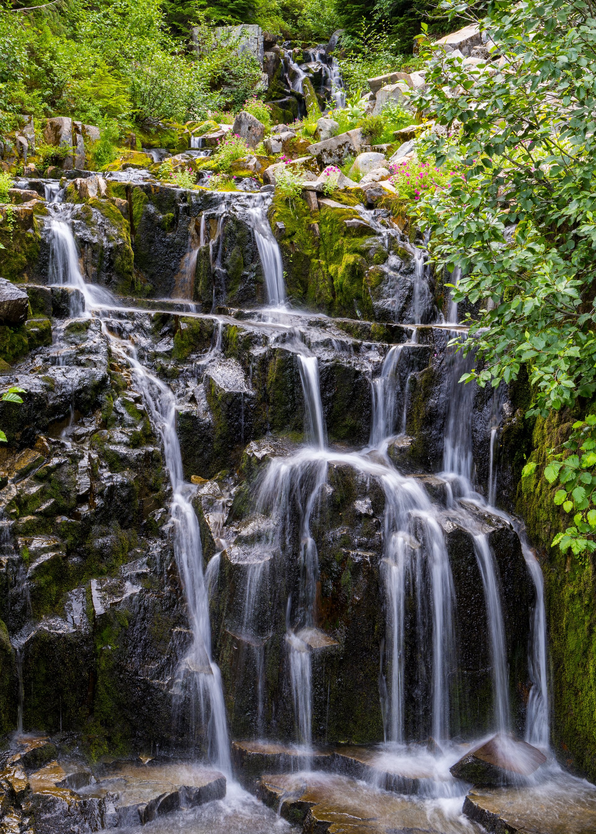  The last waterfall was a small one, but pretty enough.  