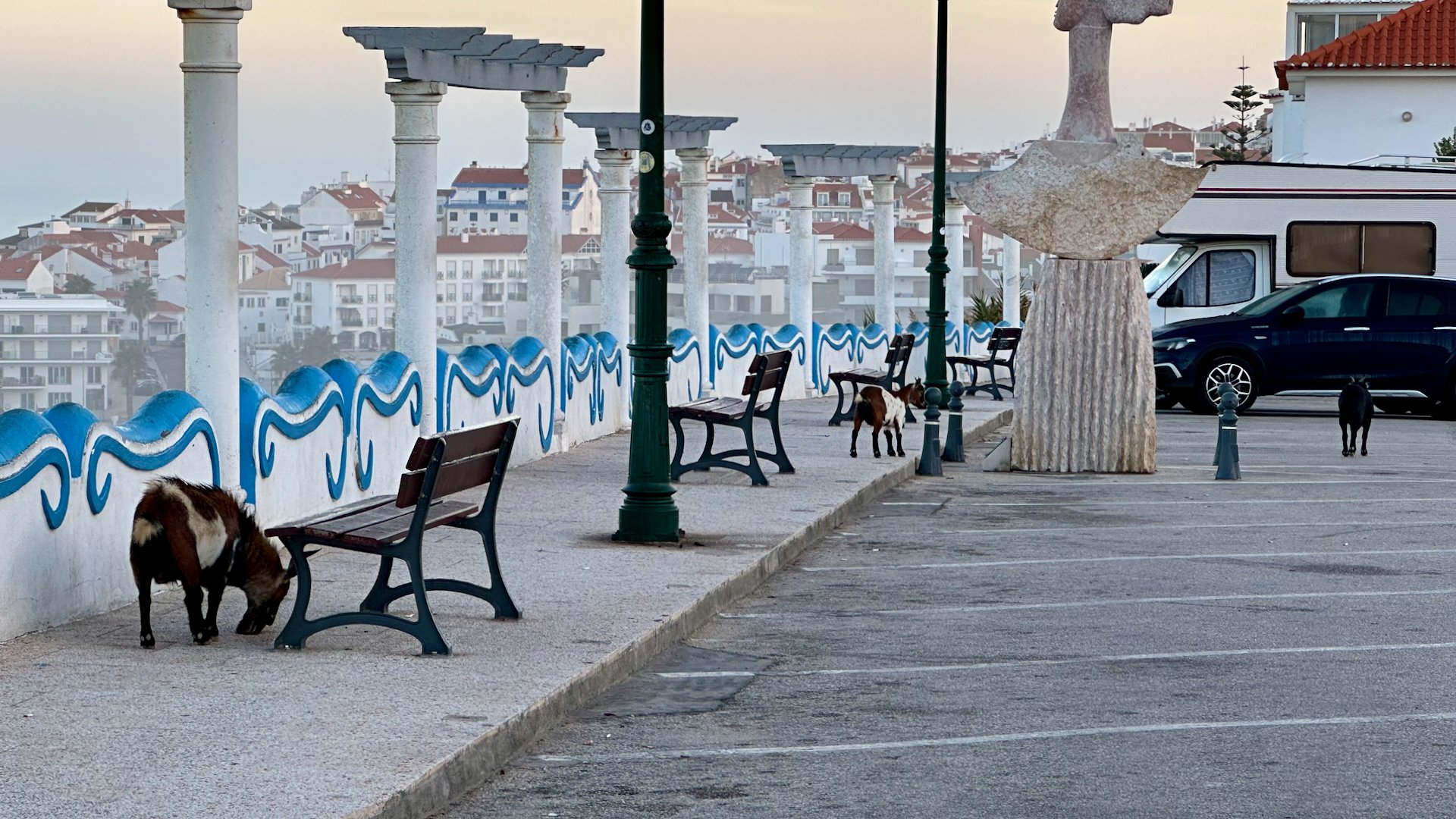  As I was wandering this morning, there were goats! Just randomly wandering the streets of the own. Most people seemed to find this rather ordinary.  