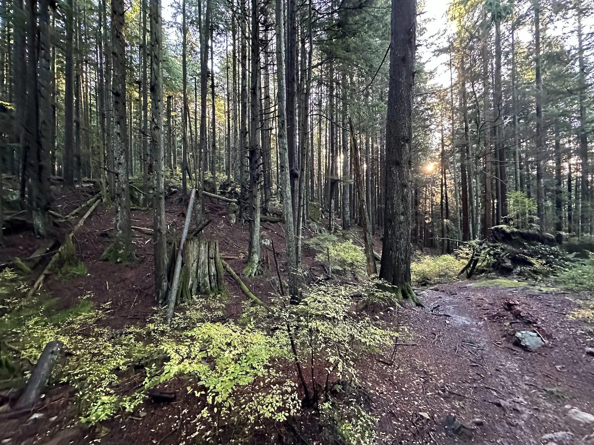  The area we were biking through was quite beautiful, and fortunately we didn’t see any bears or cougars! 