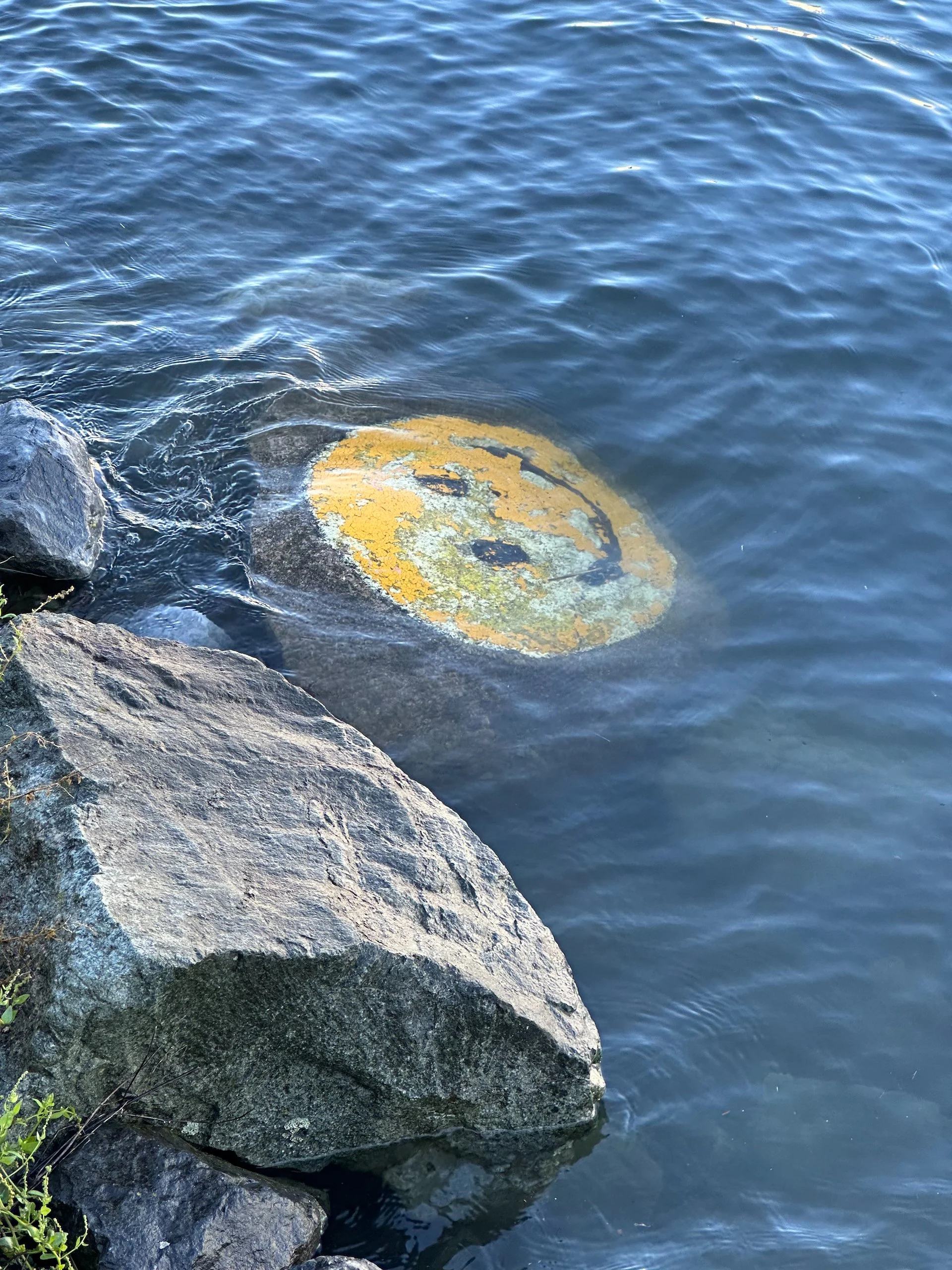  Even the happy face was under water! I’ve not seen that before. 