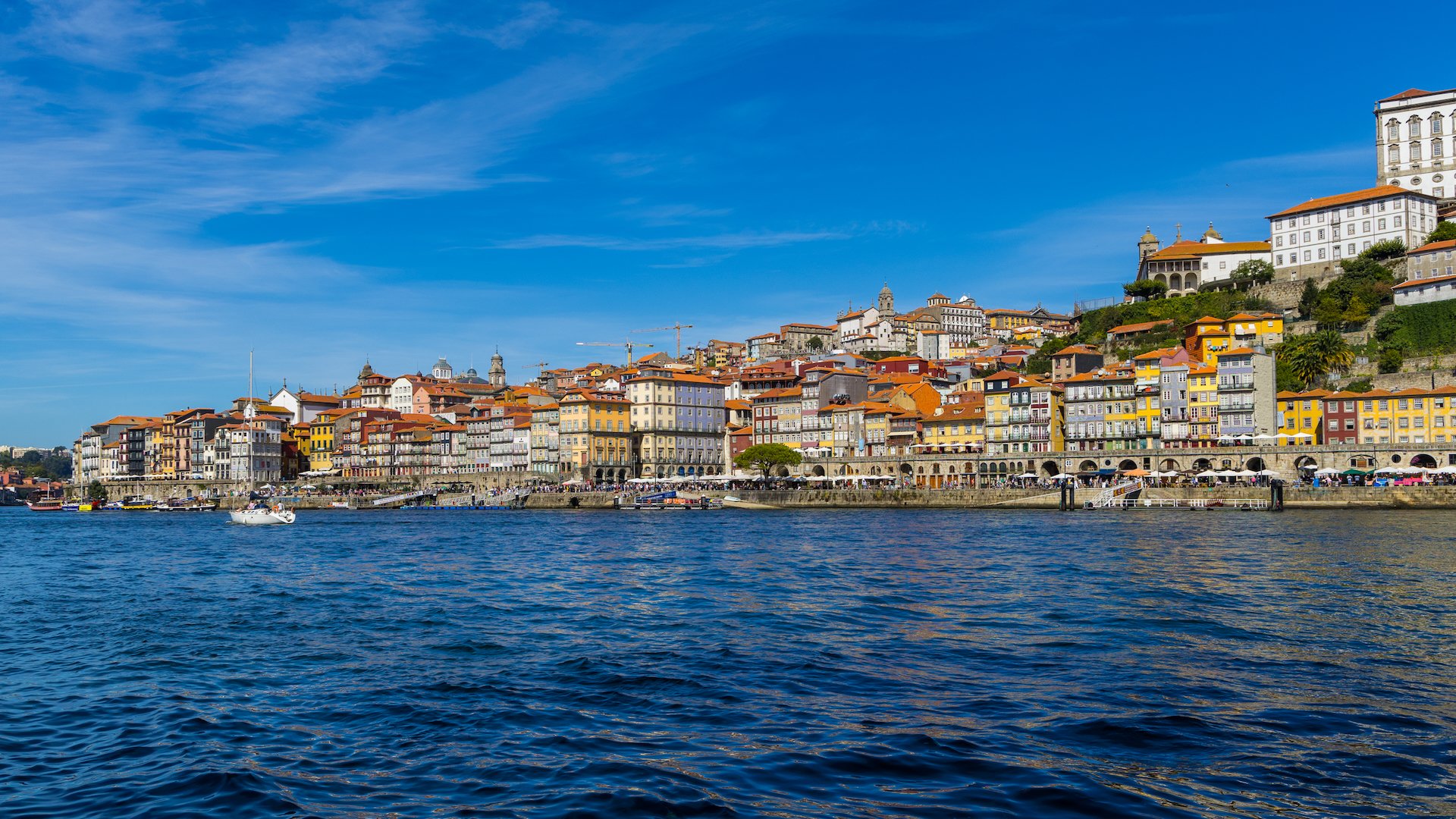 The view of Porto from our boat tour.  