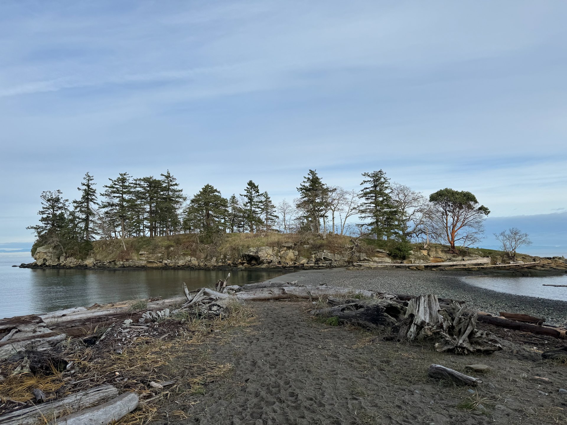 After coming back from lunch, the tide had gone out and the “island” had reconnected to the beach. That let us walk out and explore the island. 