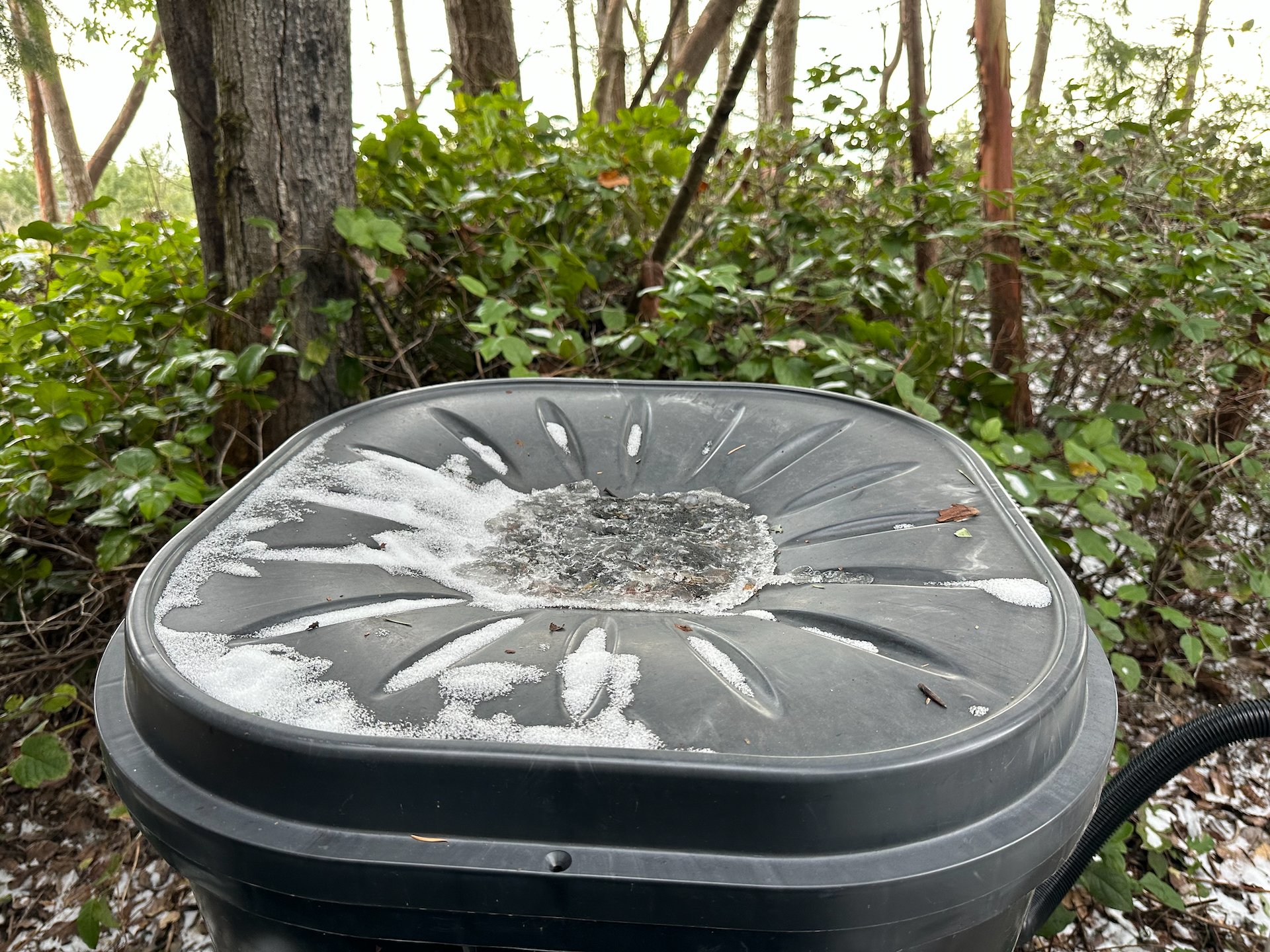  Our rain barrels were frozen all the way through, right to the ground. 