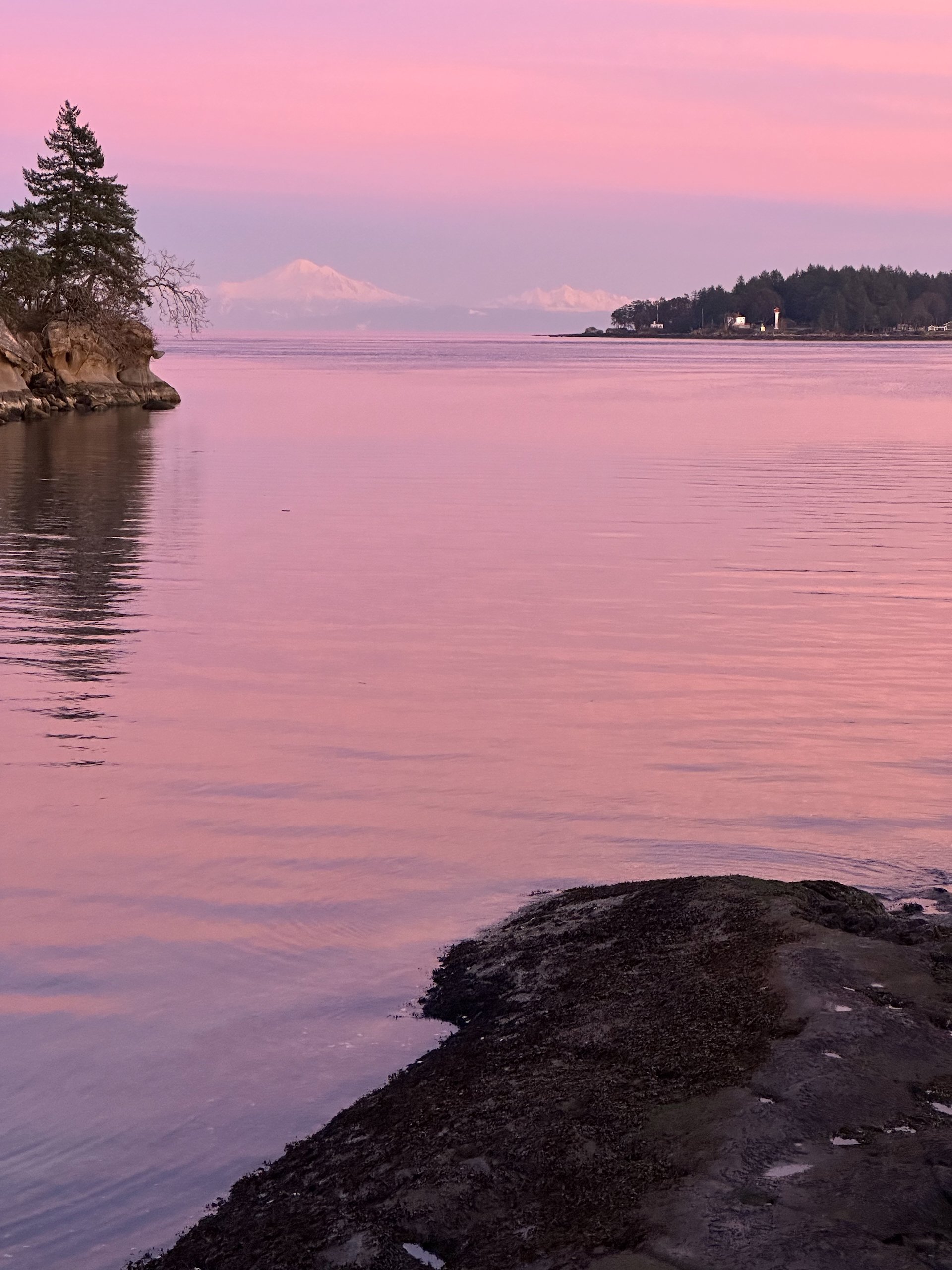  The sky was amazing, so pink! Mount Baker was looking very good off in the distance.  