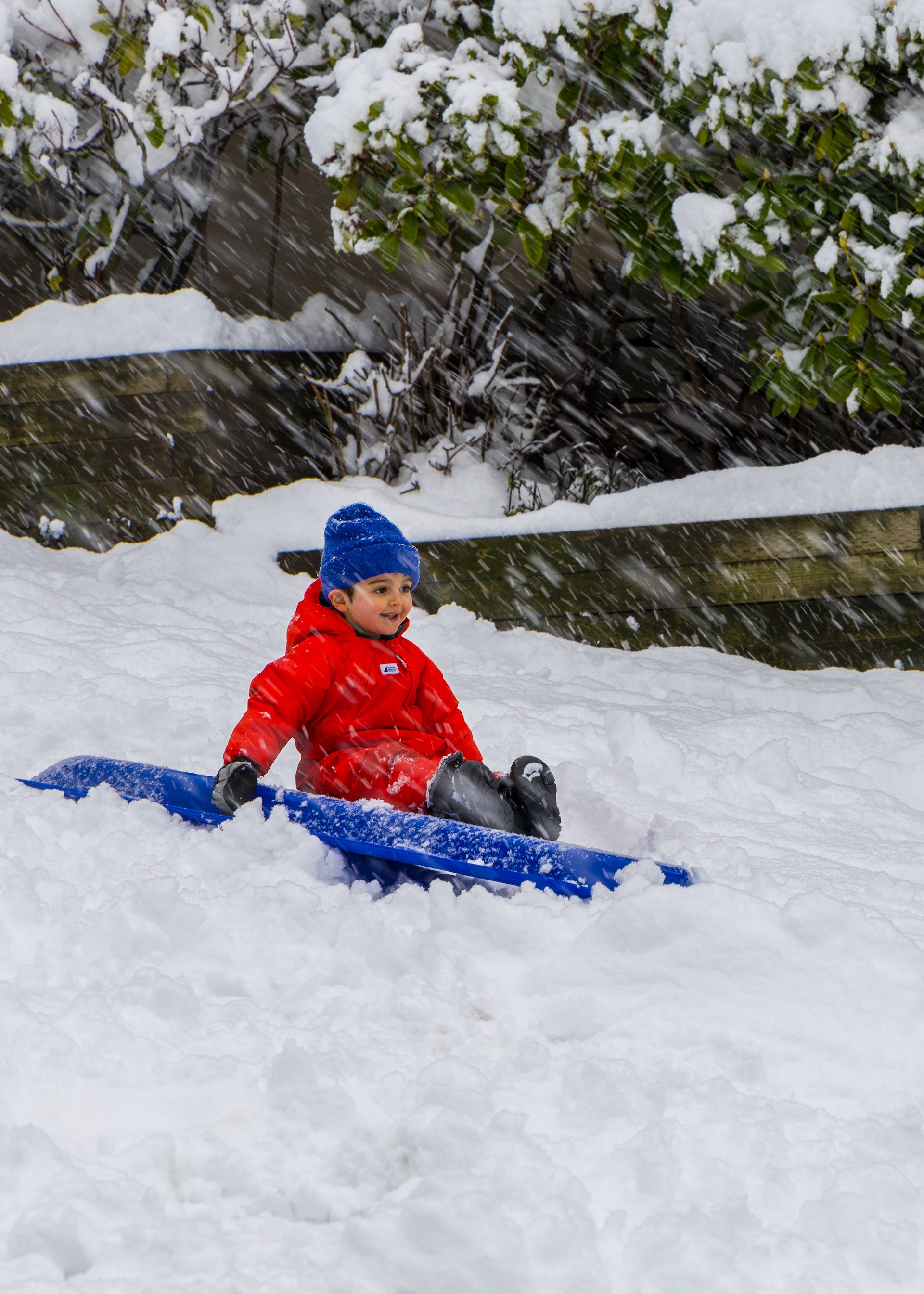  Brin, our next door neighbour, was really enjoying the day and doing some tobogganing.  