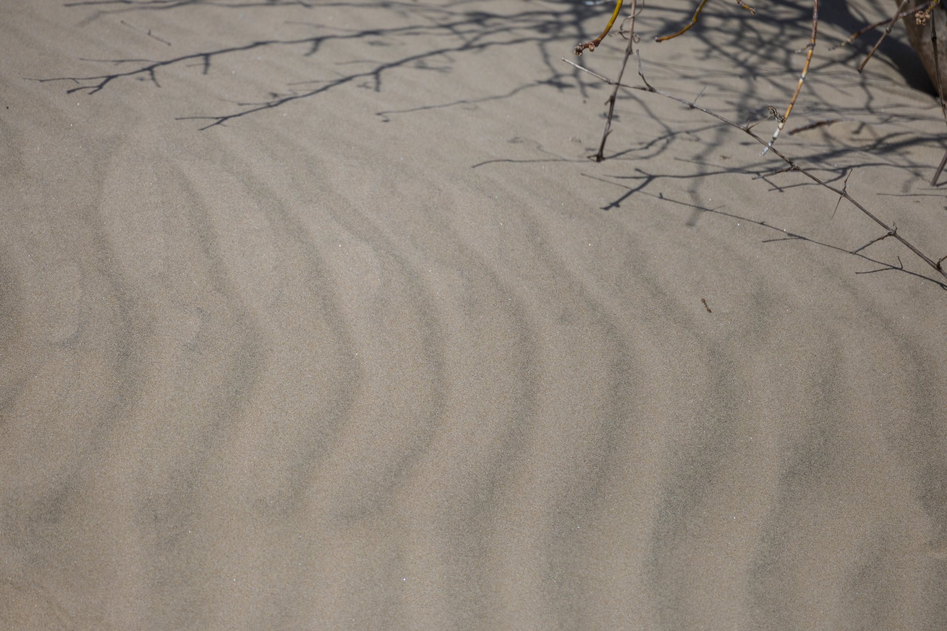  Ripples in the soft, fine sand.  