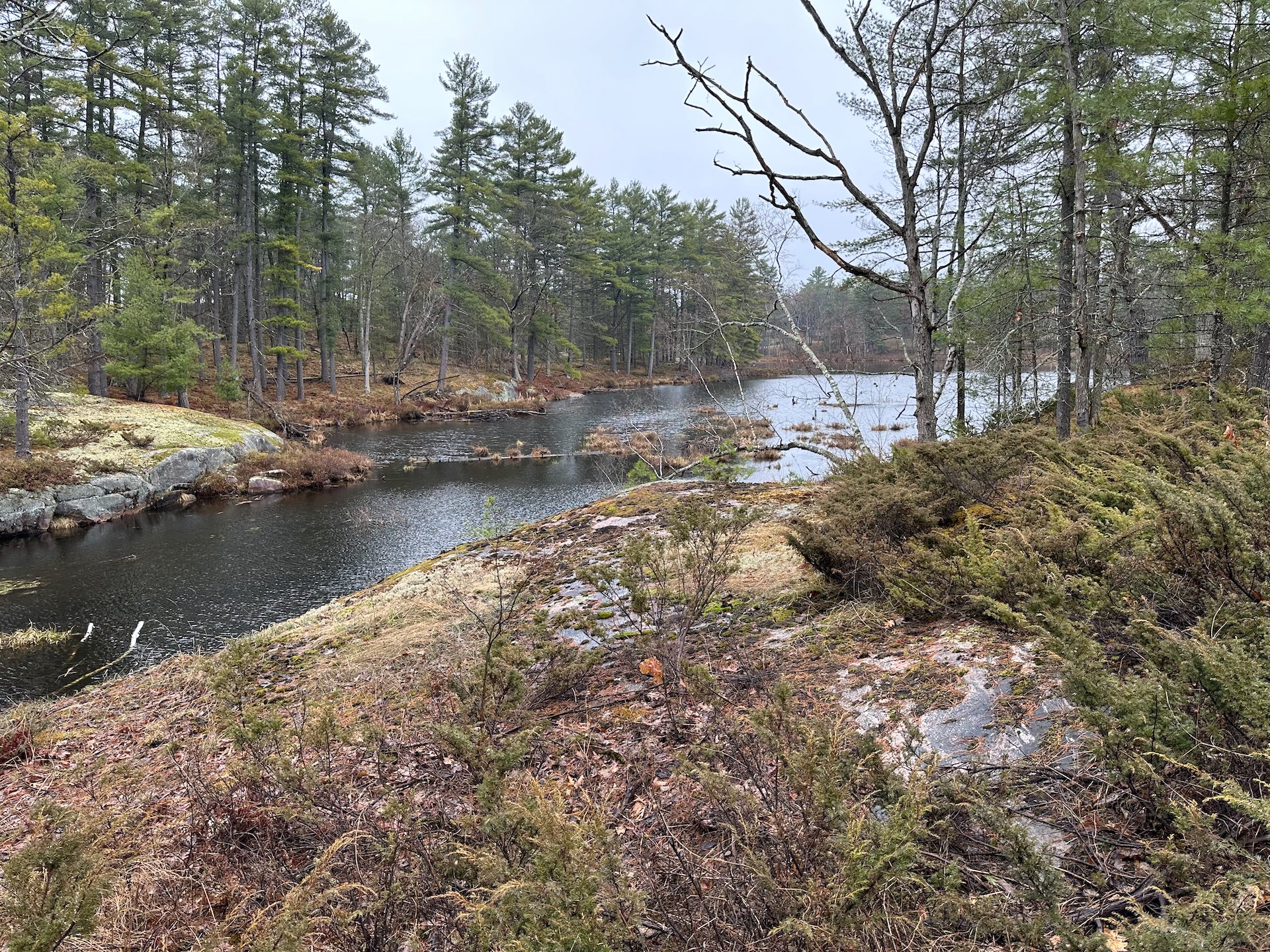  A couple of pics from the walk. Not too exciting, but such typical Ontario cottage country. Winter was coming to an end and you could tell that spring was ready to burst forth. 