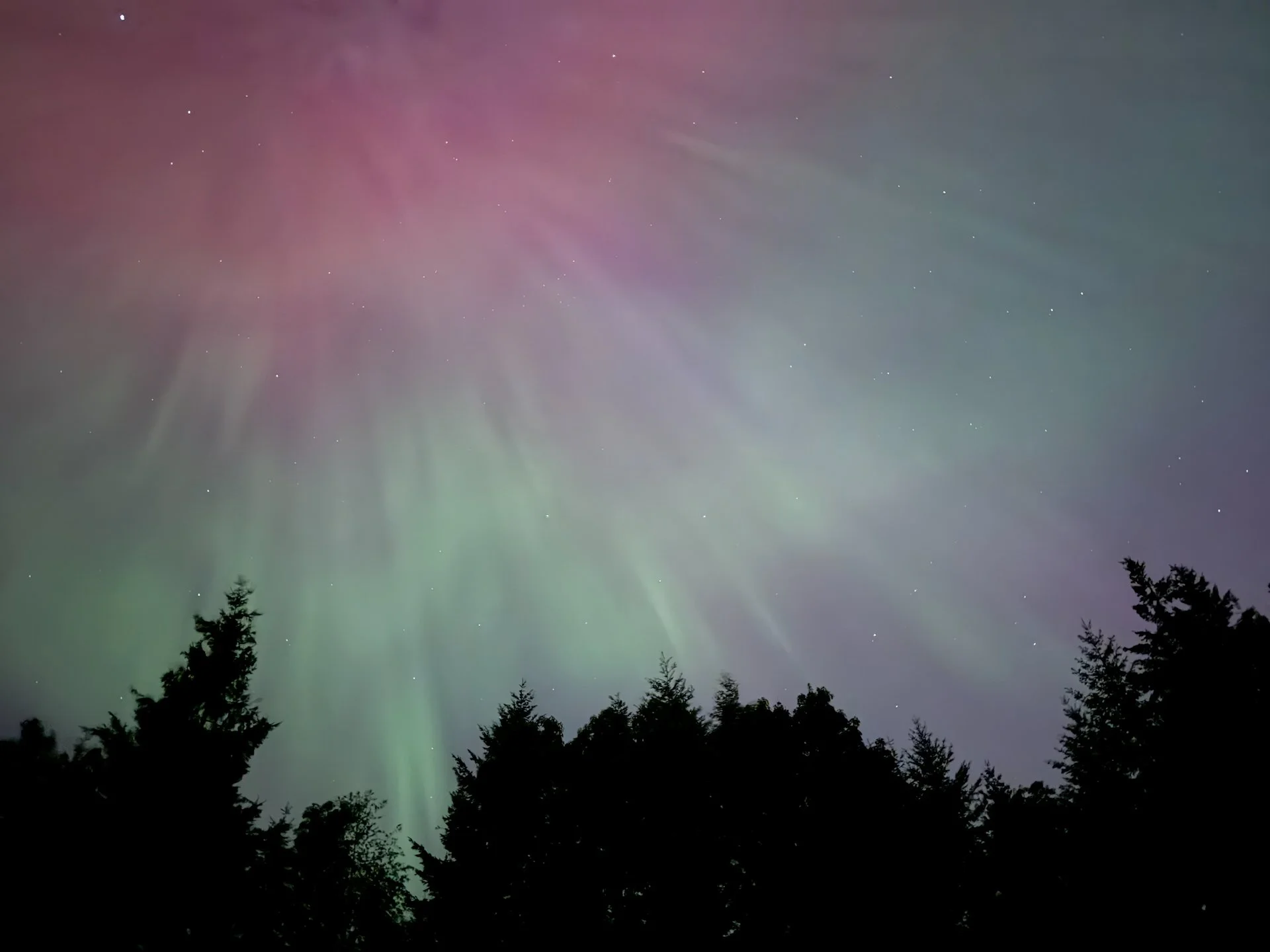 Northern Lights Justine 05 - 8.jpeg