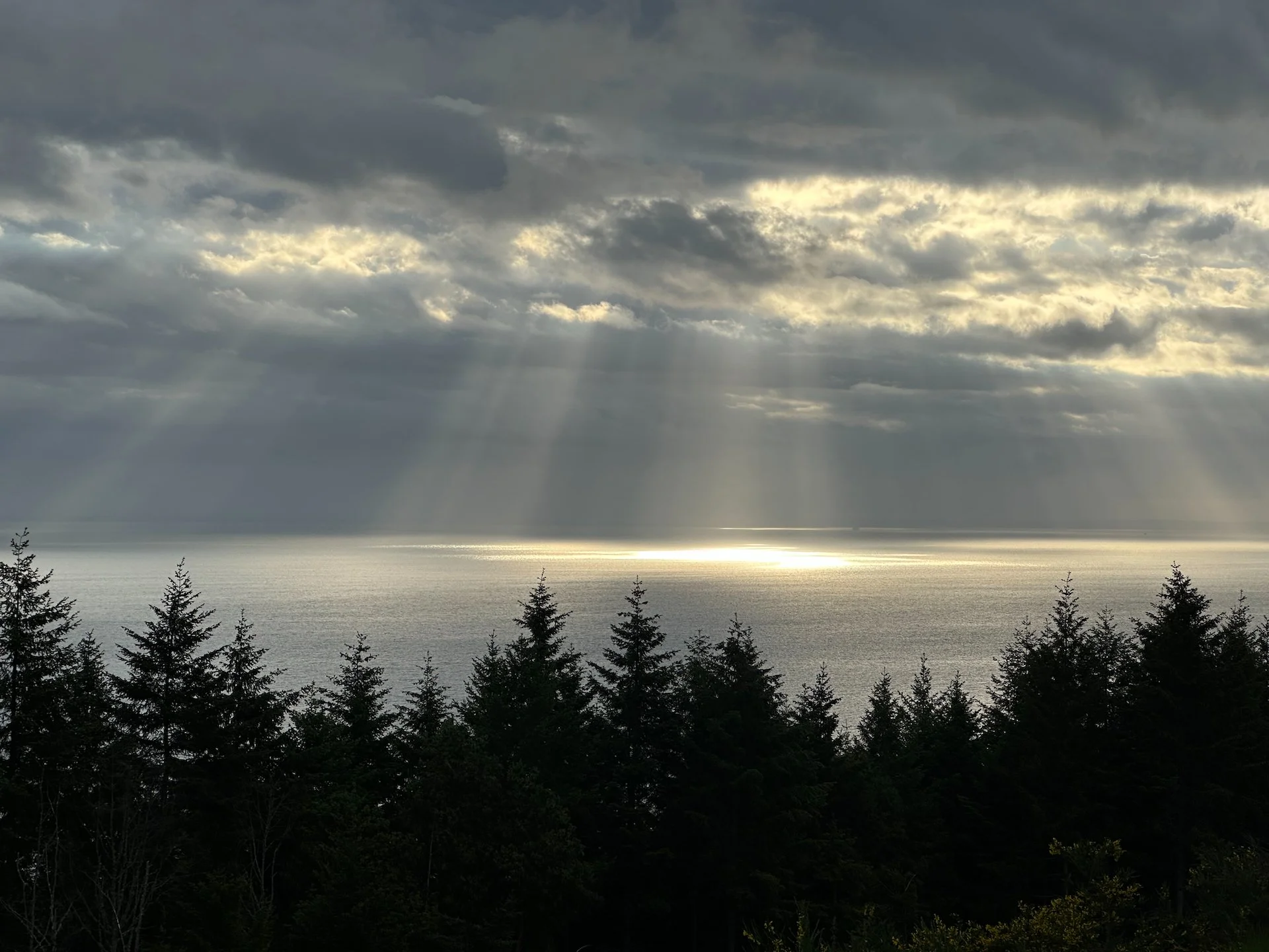  As I got up and headed out in the morning, the light on the water was pretty cool.  