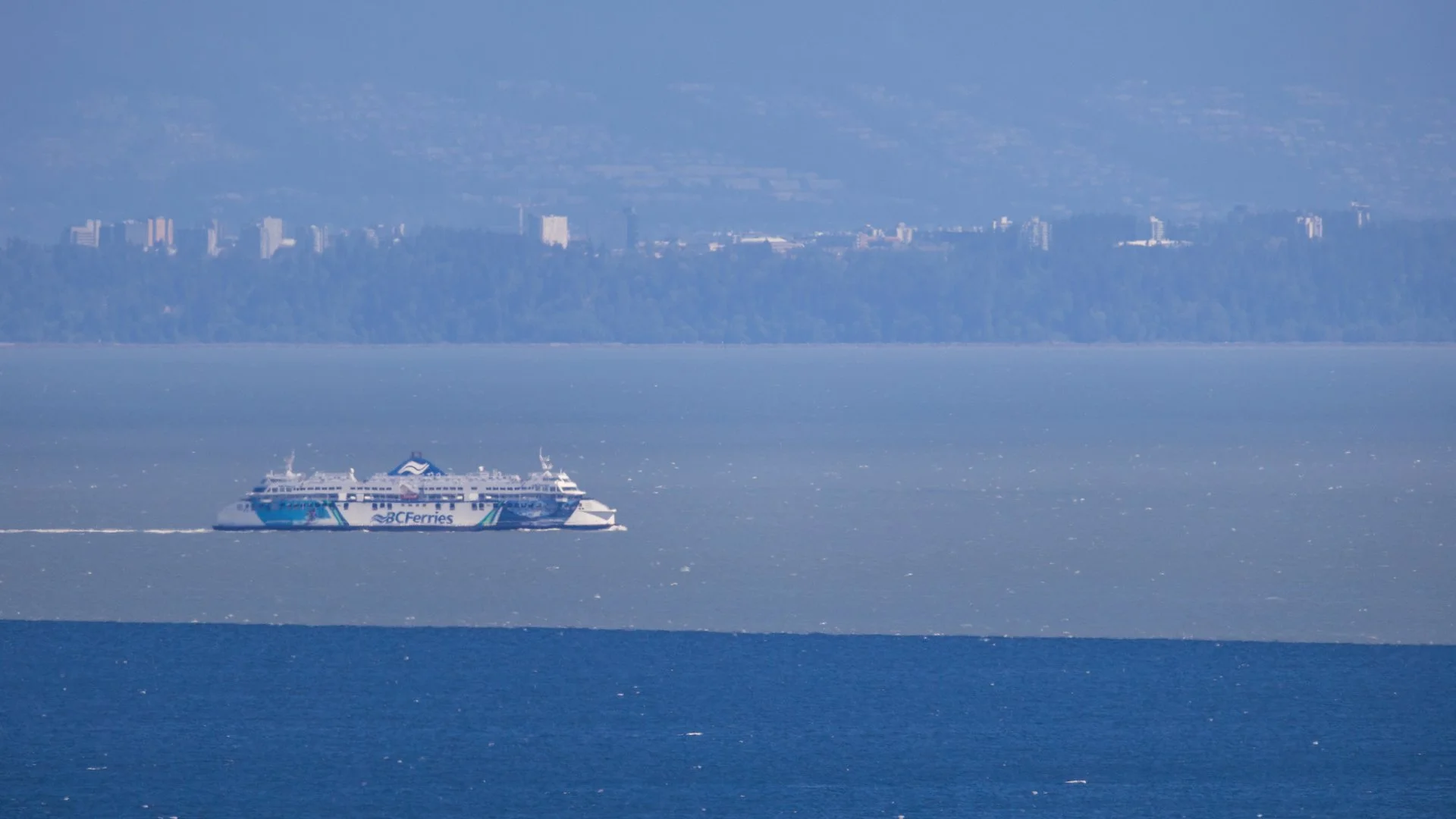  You could really see the colour difference of the outflow from the Fraser this morning.  