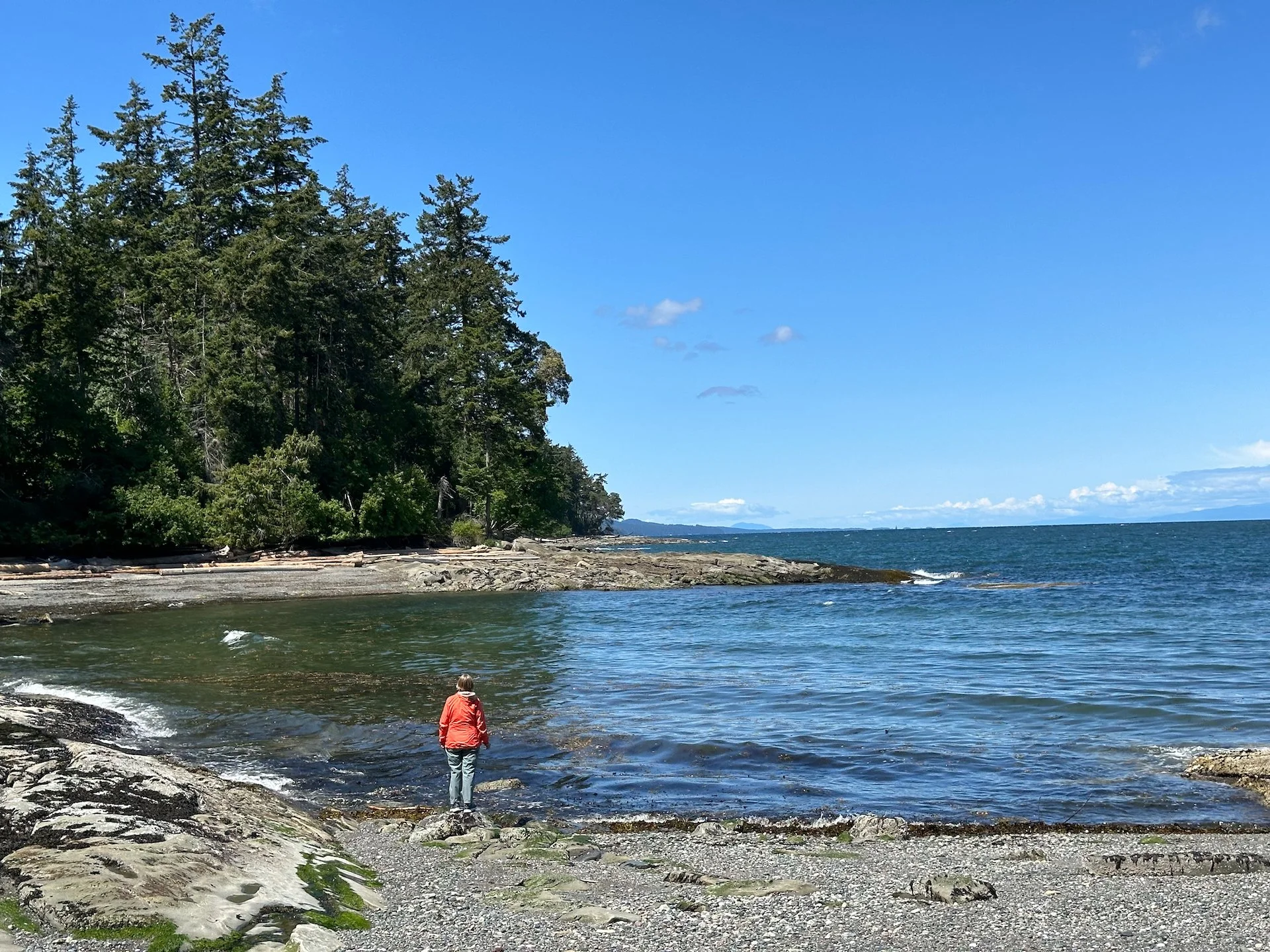  Mom checking out the ocean - no whales sadly.  