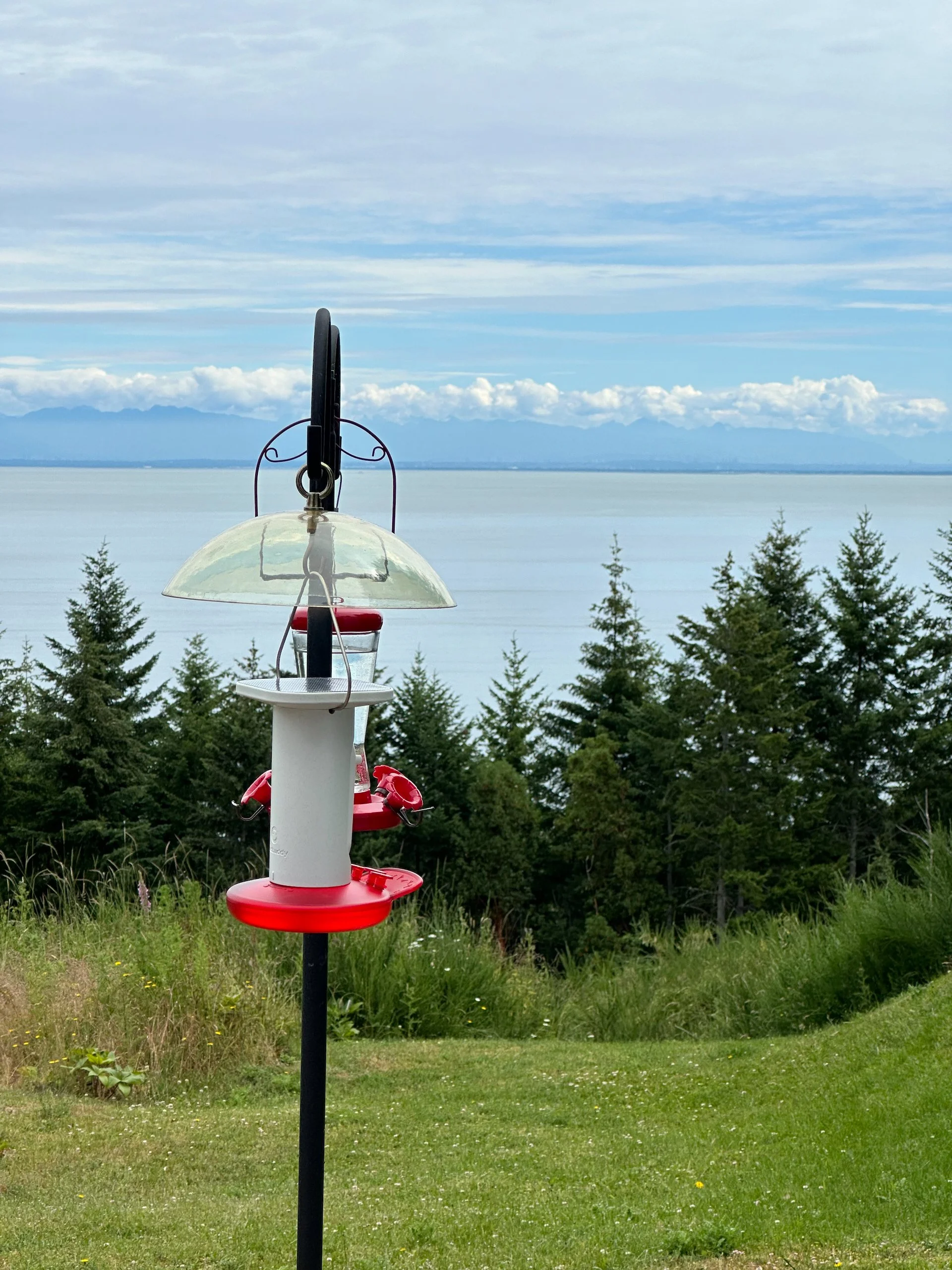  The new hummingbird version of the Bird Buddy, complete with solar panel. 