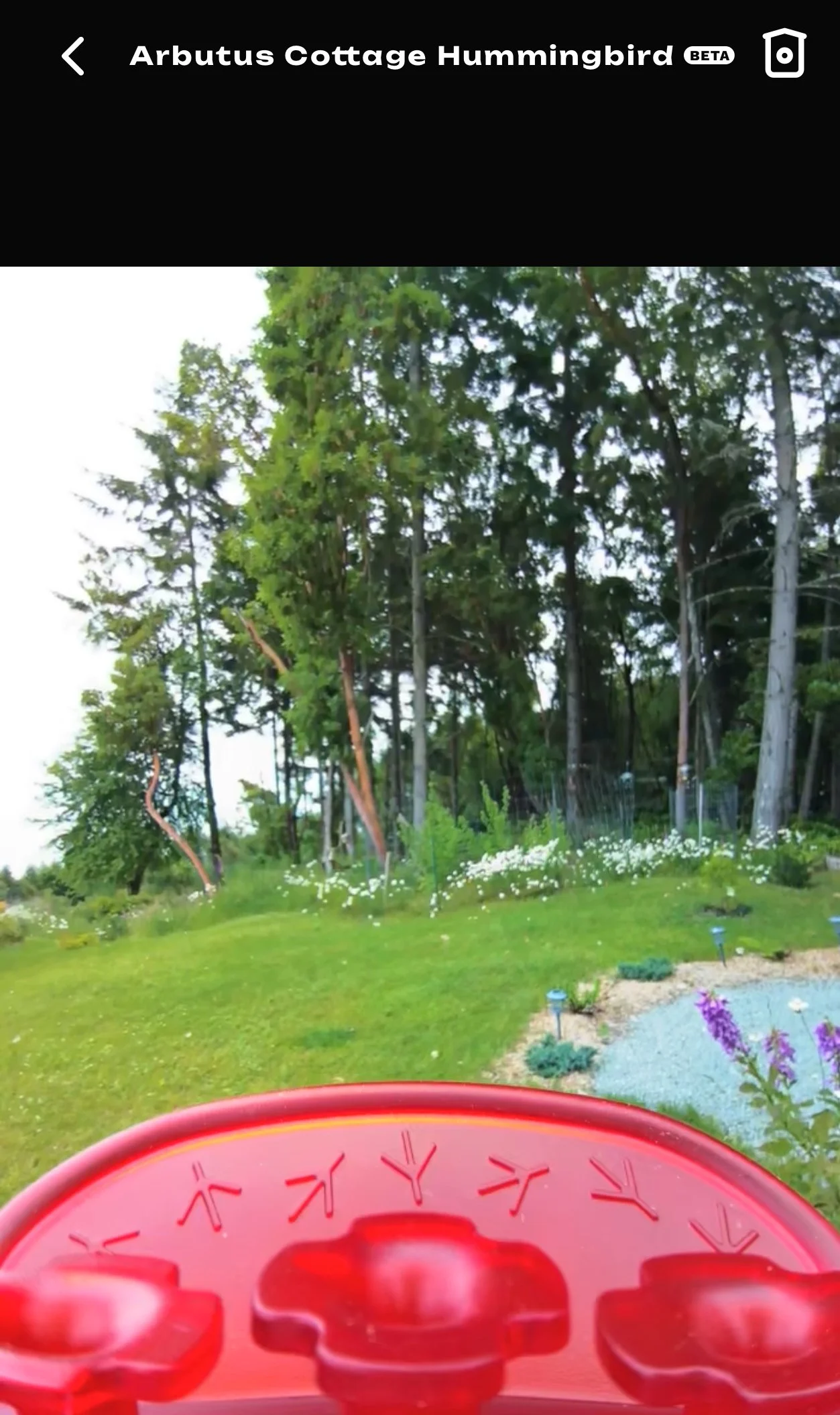  This is the view from the camera. 