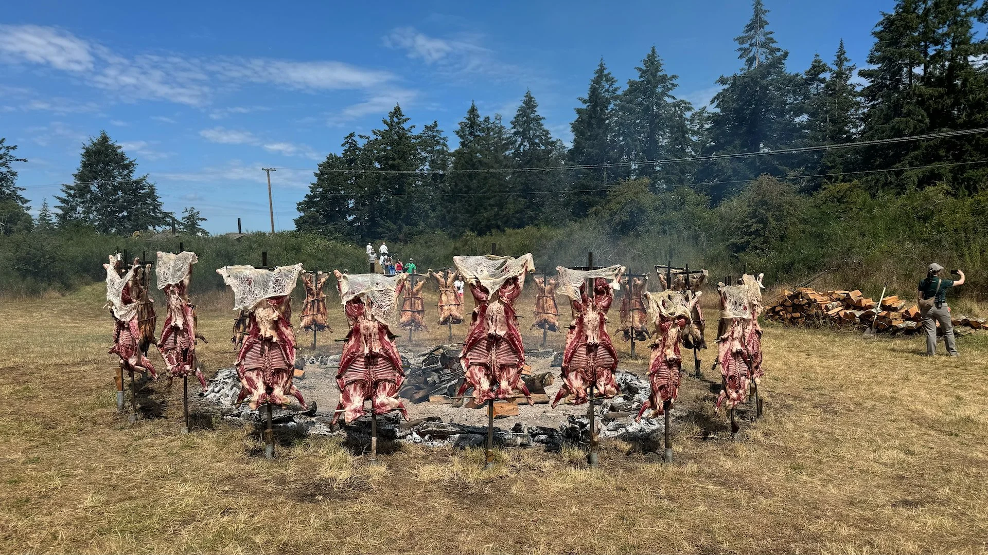  I think they said they did 26 lambs this year. 