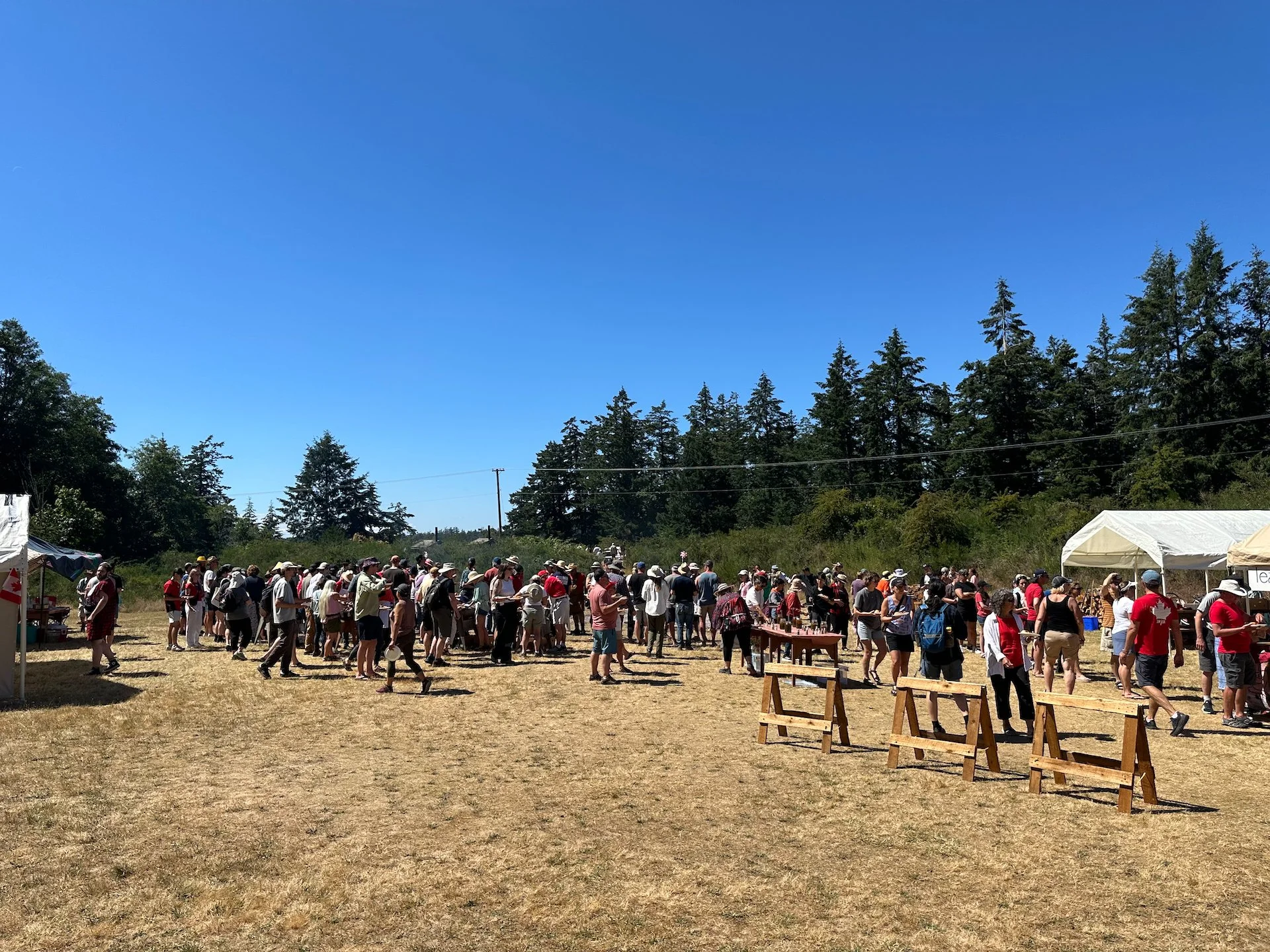 Canada Day - 46.jpeg