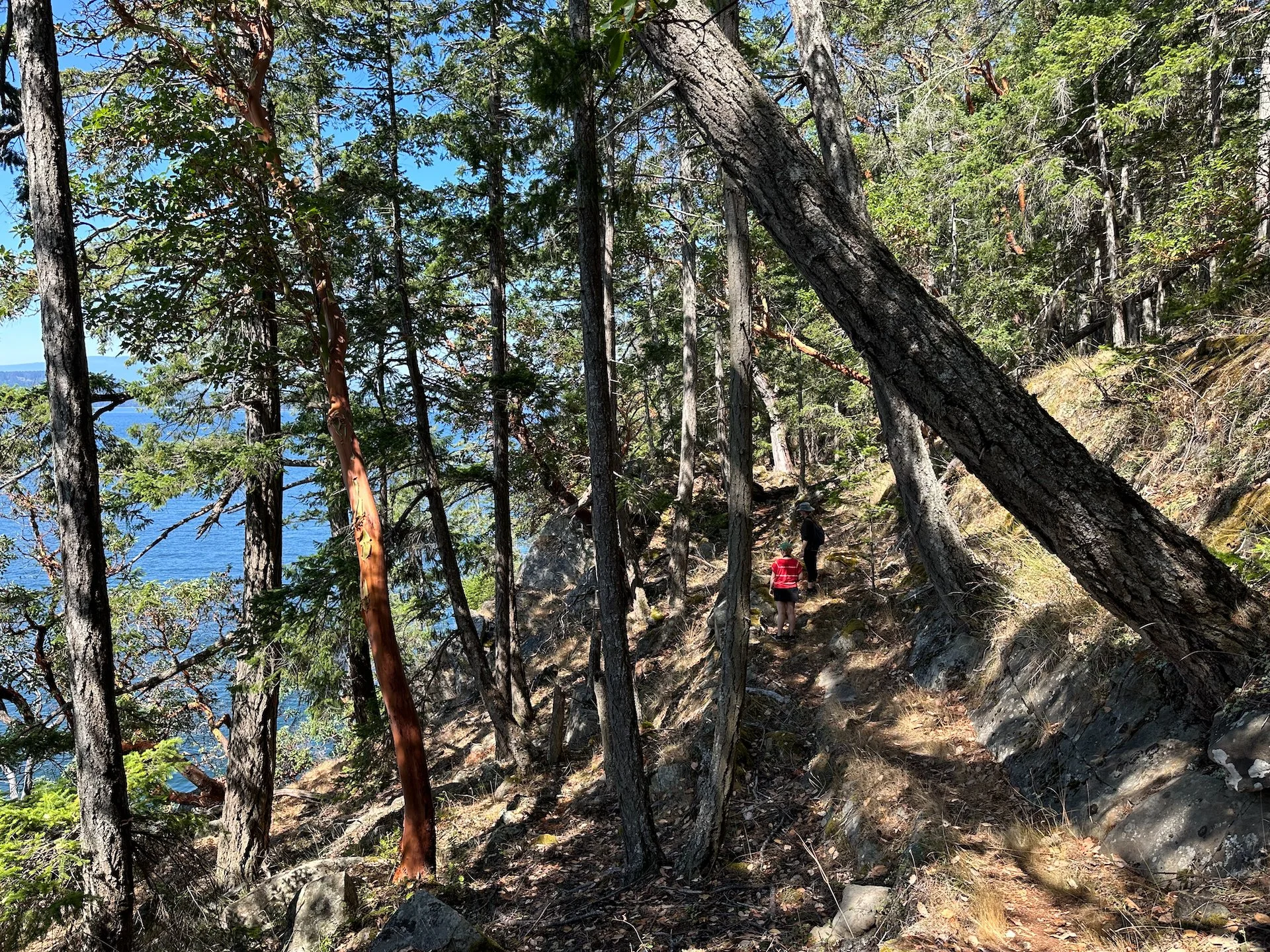  The trail works its way up and down a few times as you travel along the coast. 