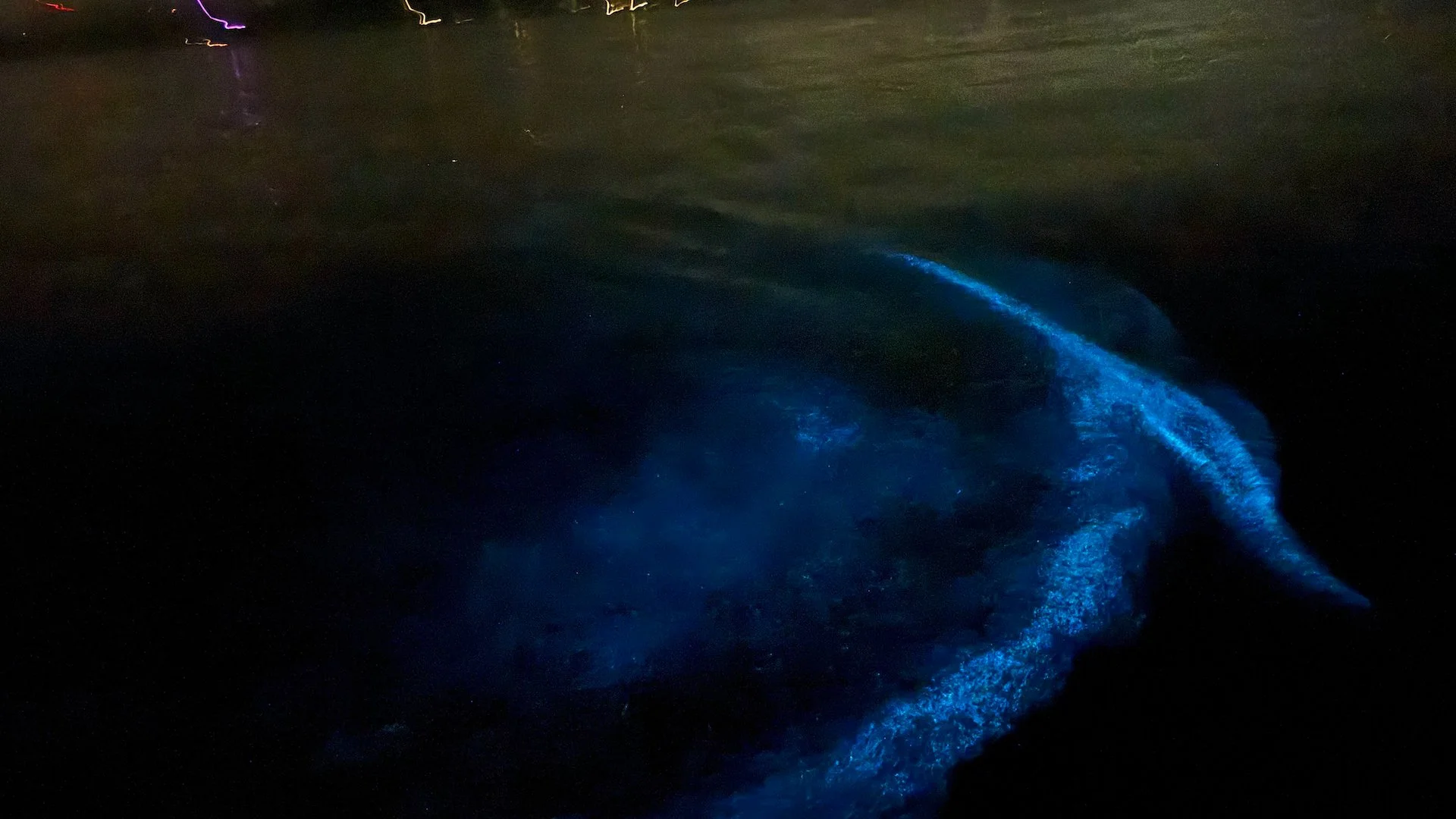  Most of these are the result of just passing a paddle through the water. It's pretty awesome. 