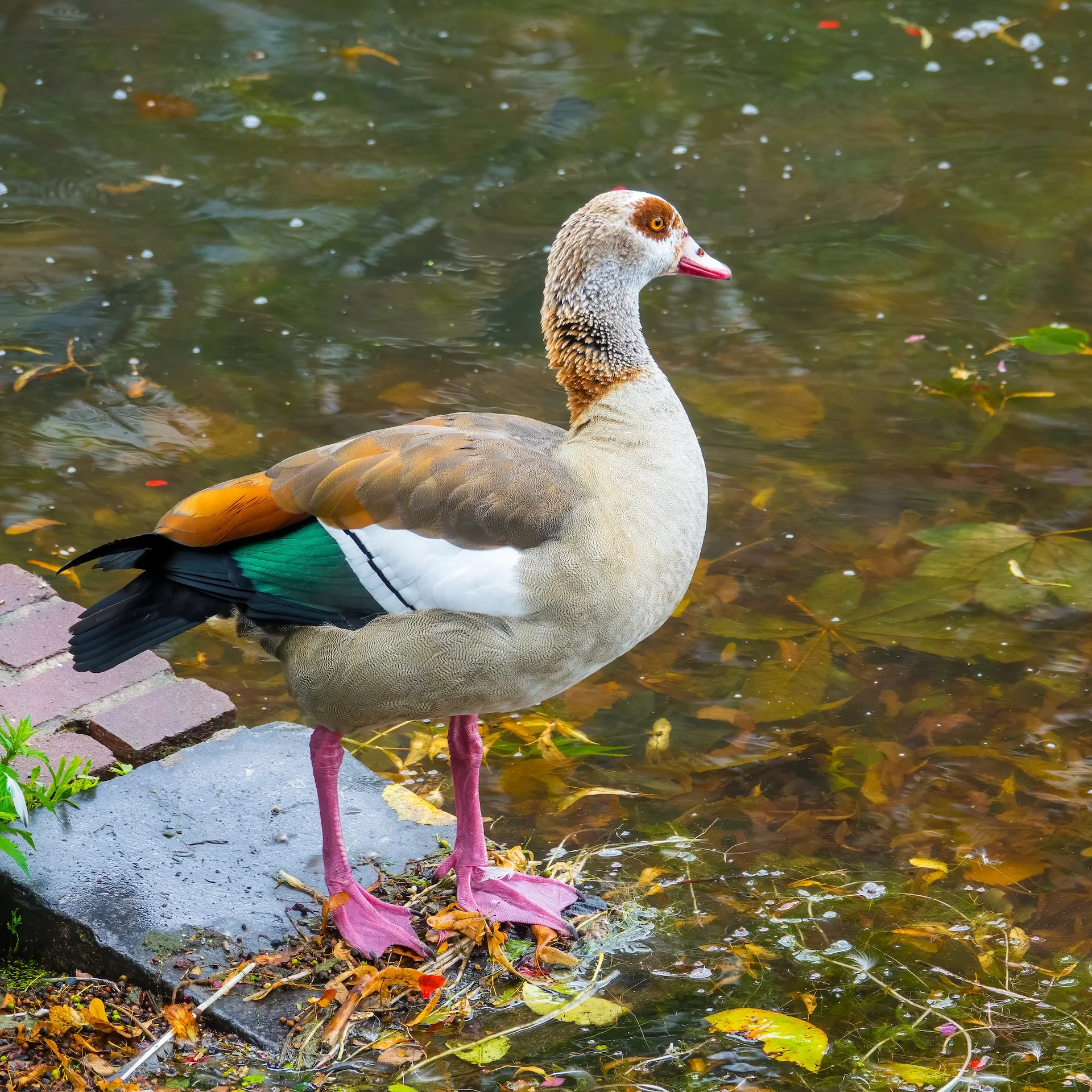 08 Den Hague - 22.jpeg