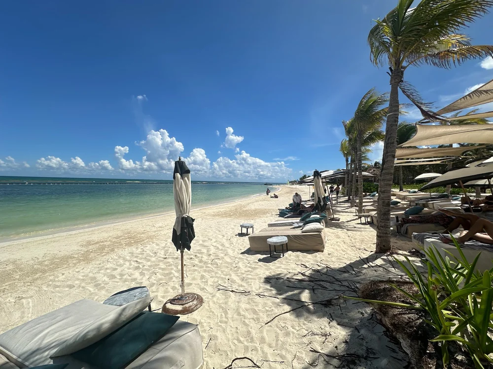  And why would you, when the beach looks like this? 