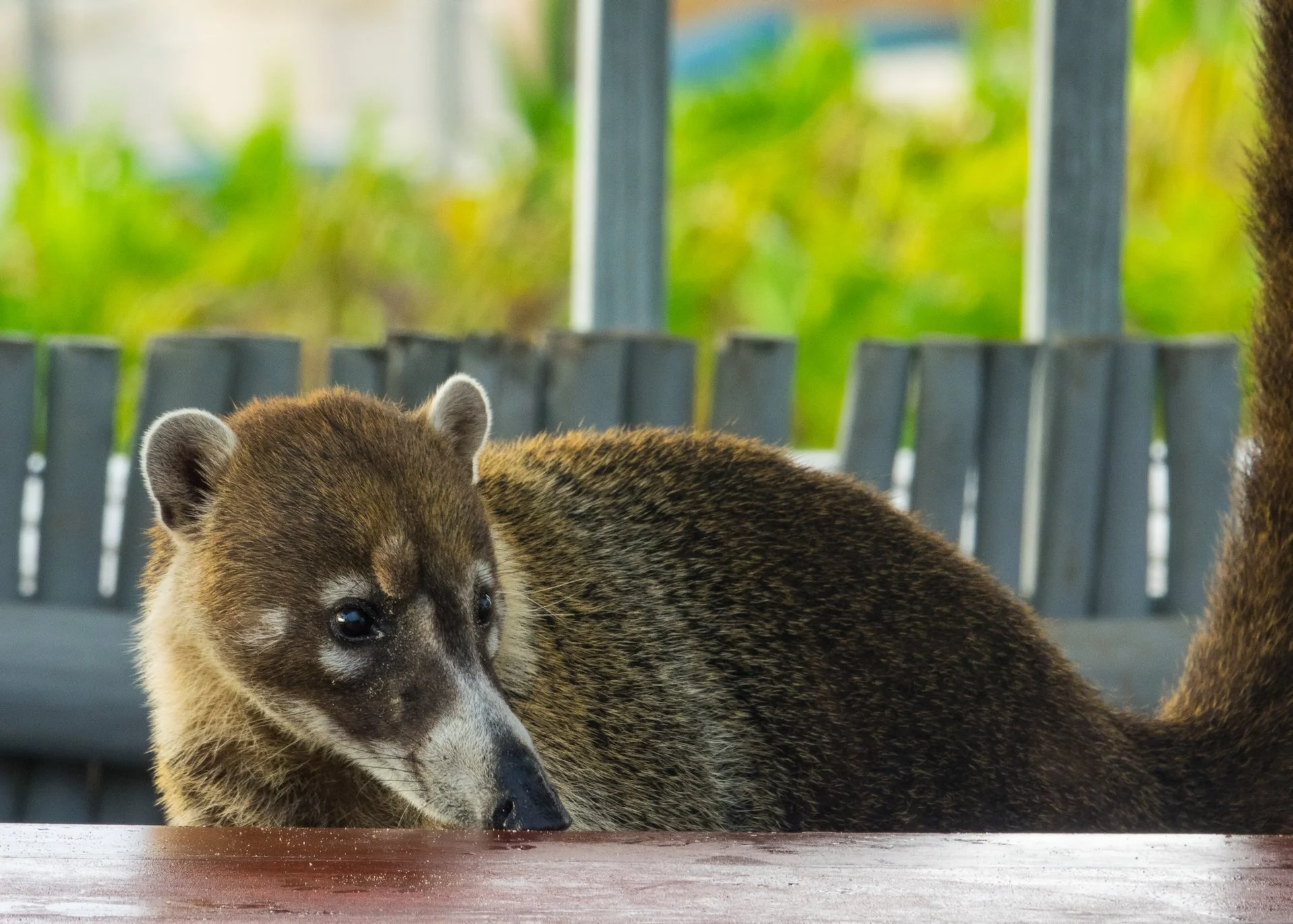 09 Cancun - 47.jpeg