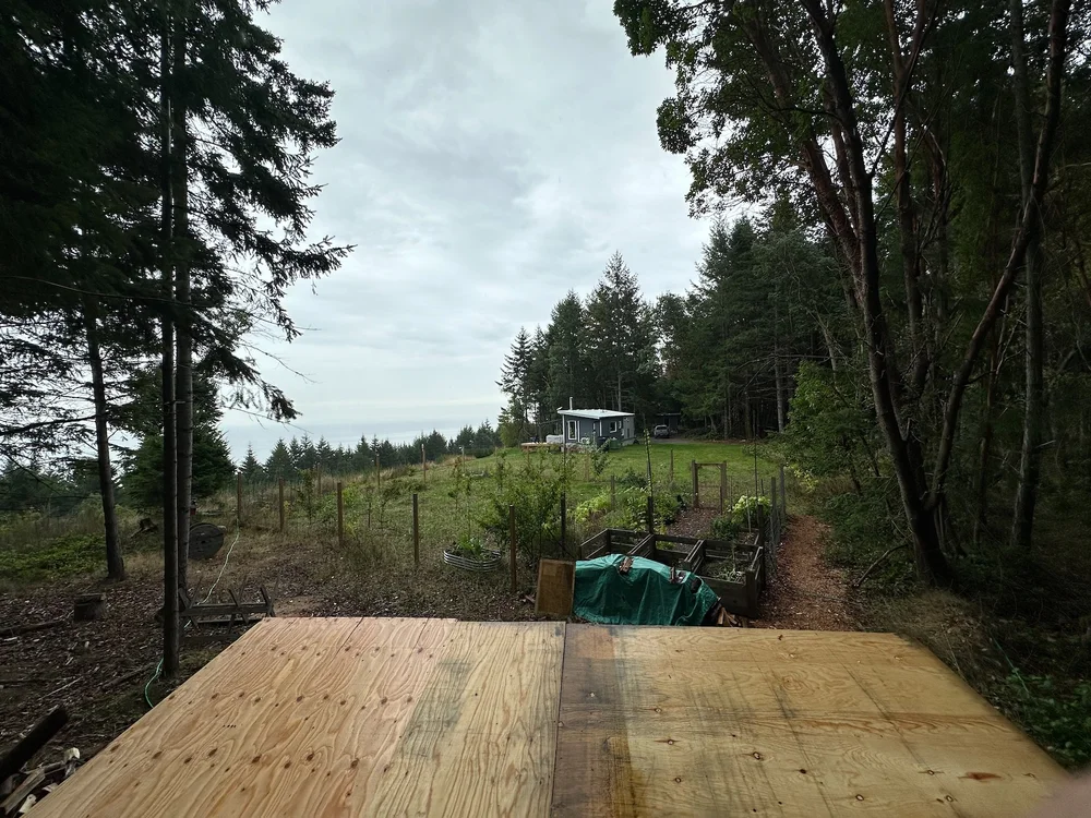  While we got the plywood on the roof, we did not make it to the shingles.  