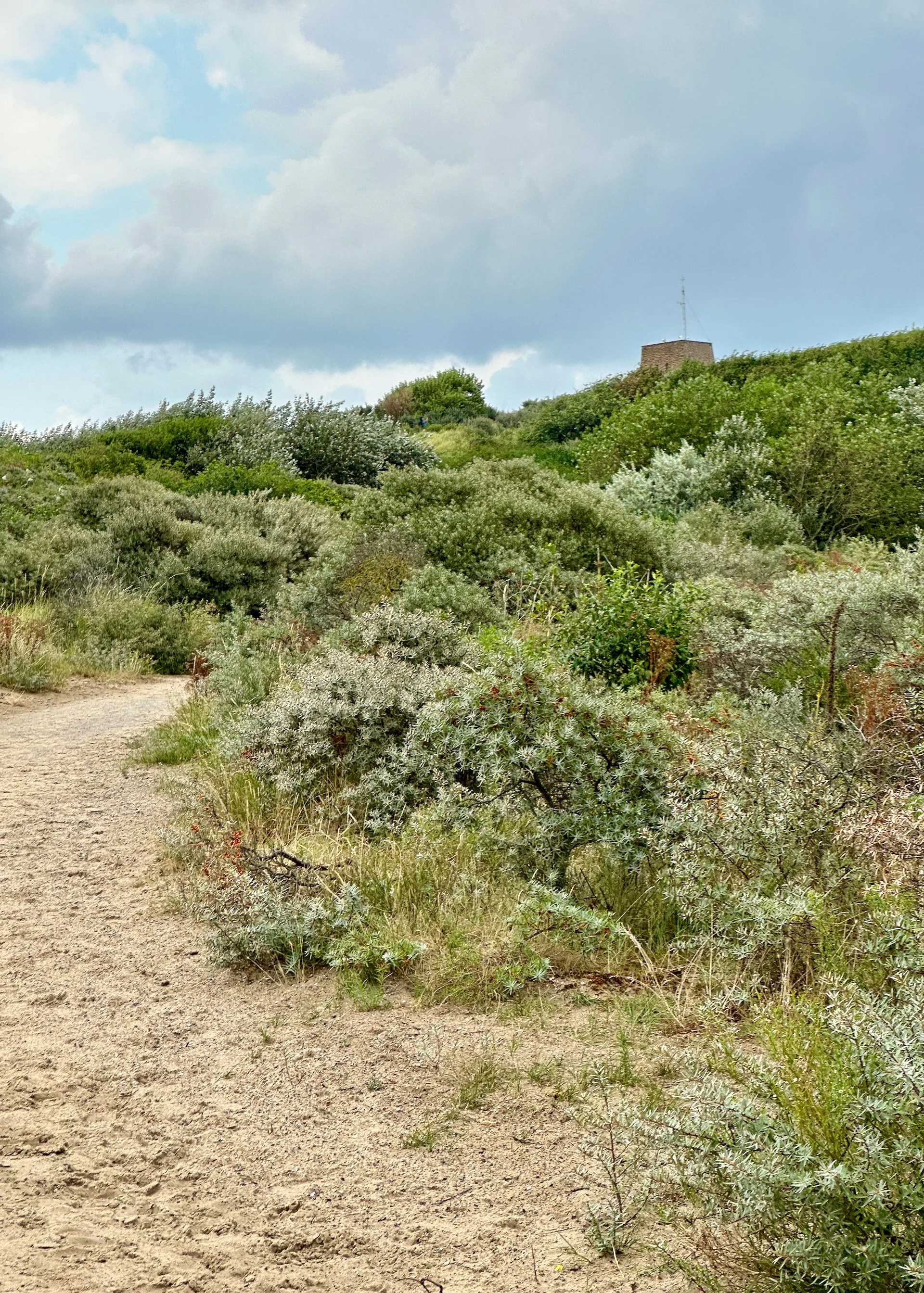  You can just see the top of the tower (it was not very old) at the top of the observation point. It was pretty nice walking through the vegetation on the dunes.  