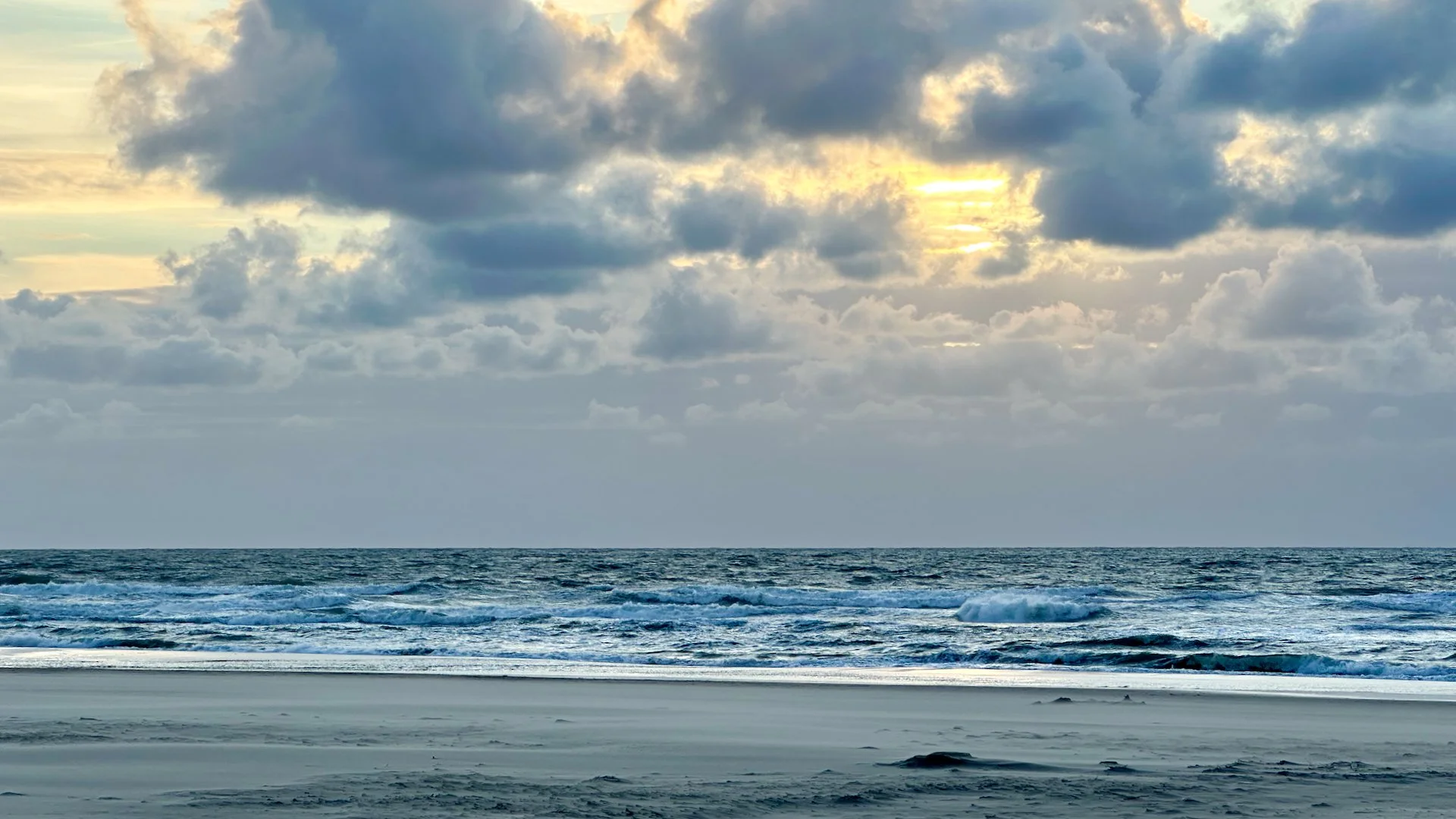 08 Texel - 18.jpeg