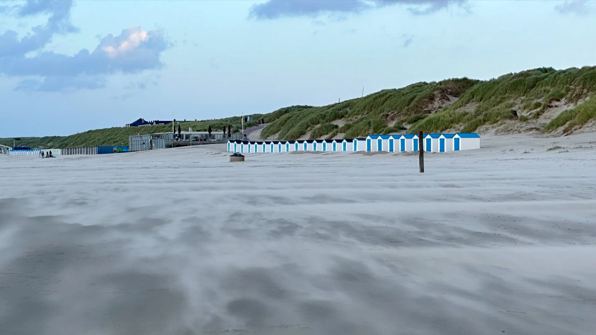 08 Texel - 19.jpeg