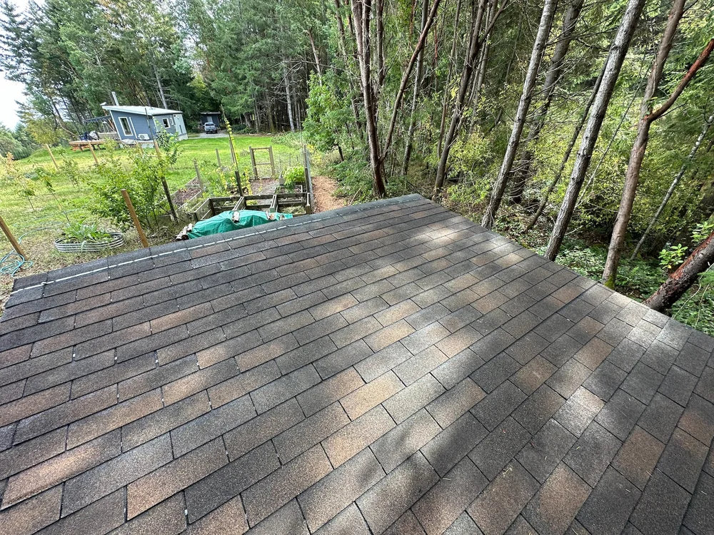 10 Vancouver and Gali - 4.jpeg