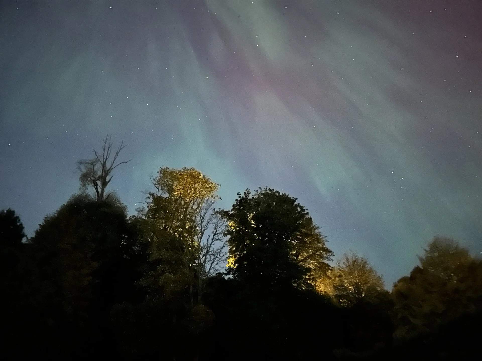  Looking back over the forest, you could see some different displays.  