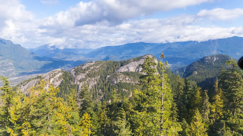  Going past the Chief on the way up. 