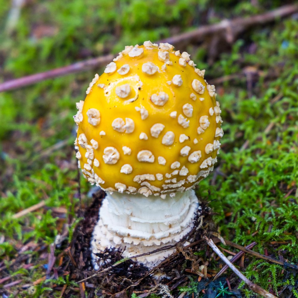 09 Sea to Sky - 13.jpeg