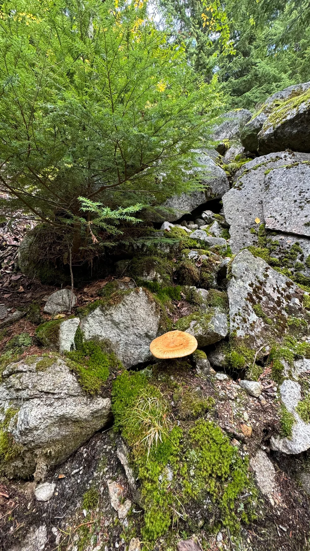 09 Sea to Sky - 11.jpeg