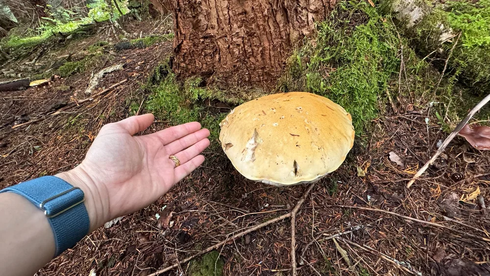 09 Sea to Sky - 19.jpeg