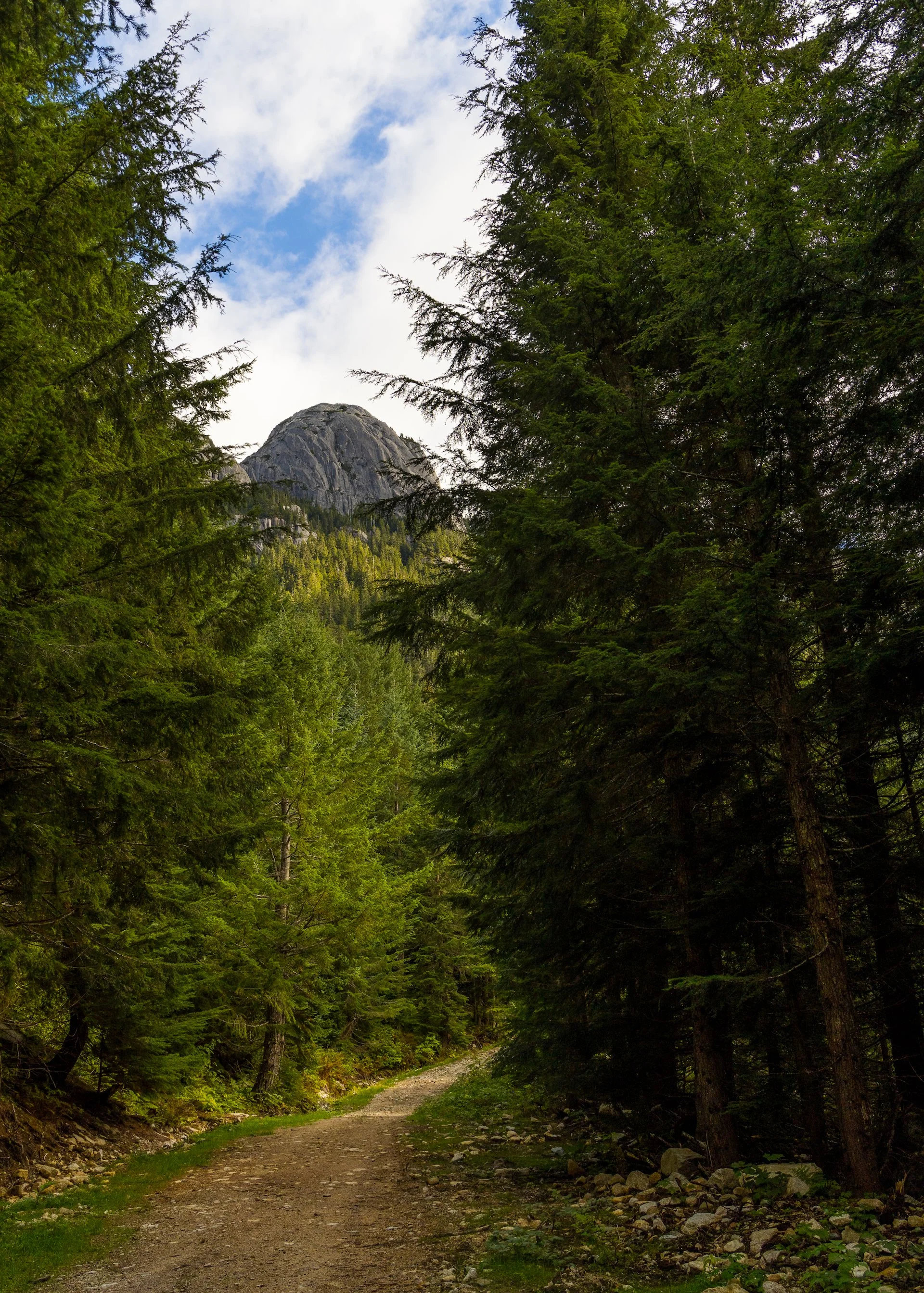 Most of the trail was like this - nice and wide and easy.
