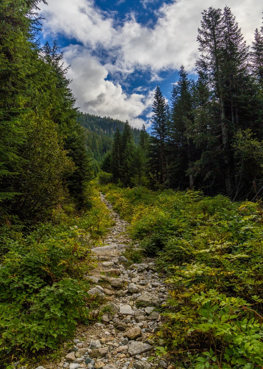  But eventually it turned to this - a little bit more of a scramble. 