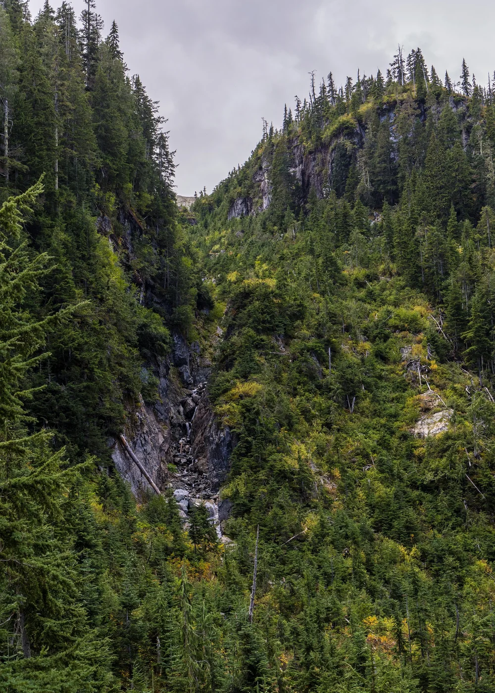  Across the valley, as we rose to near our turnabout point, there was a small waterfall.  