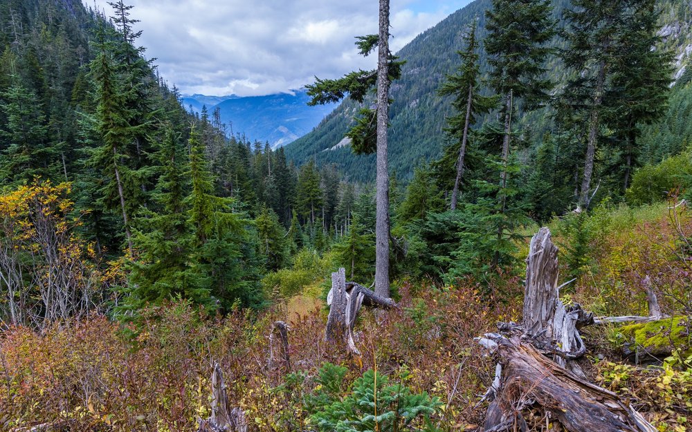 09 Sea to Sky - 28.jpeg