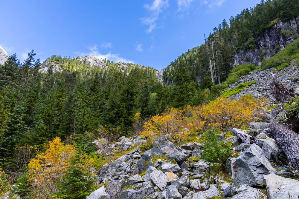 09 Sea to Sky - 32.jpeg