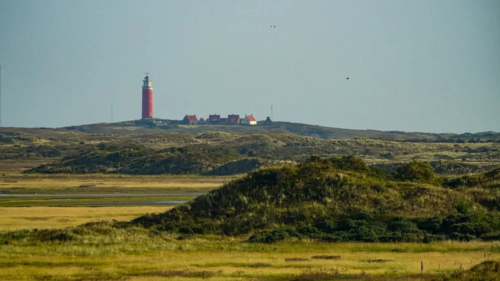  Looking north, you can see the lighthouse from yesterday. 