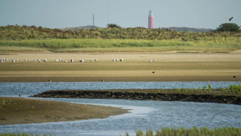  Once again you could see the lighthouse way off in the distance. 