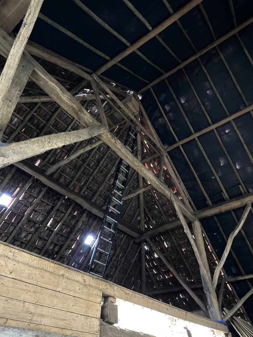  If you look way up, you can see a box up near the roof. It’s an owl house - more on that later. 