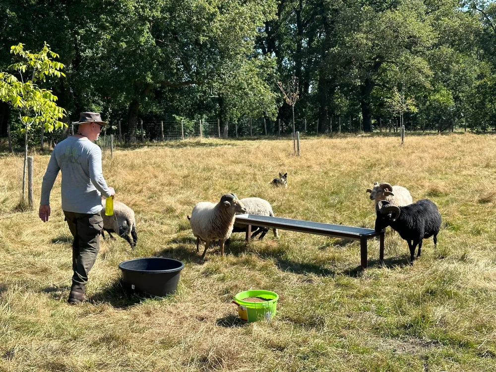  Edwin and his flock. 