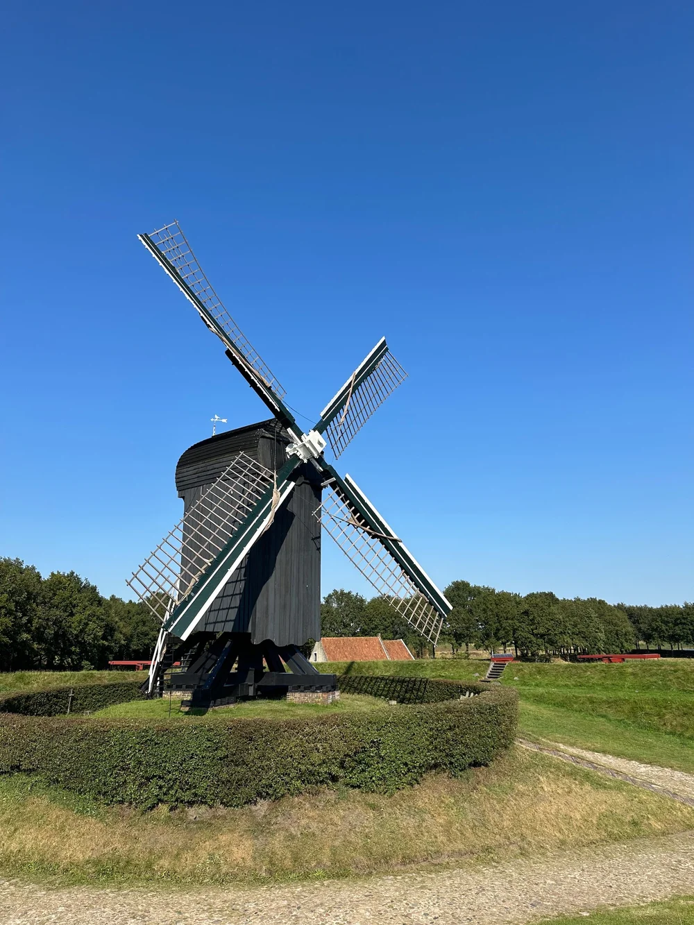  The windmill, in the town.  