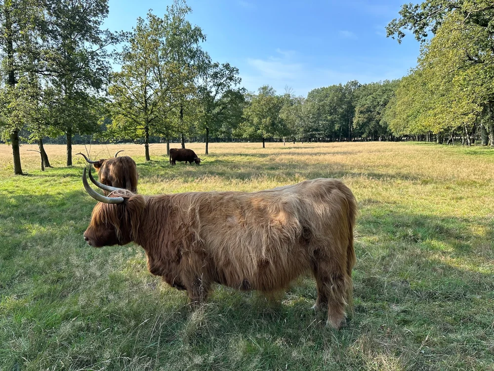 Family Reunion - 8.jpeg